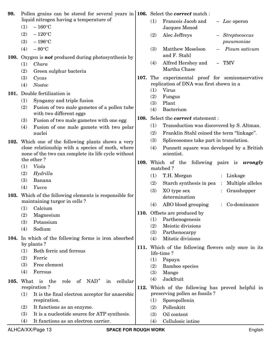 NEET English XX 2019 Question Paper - Page 13
