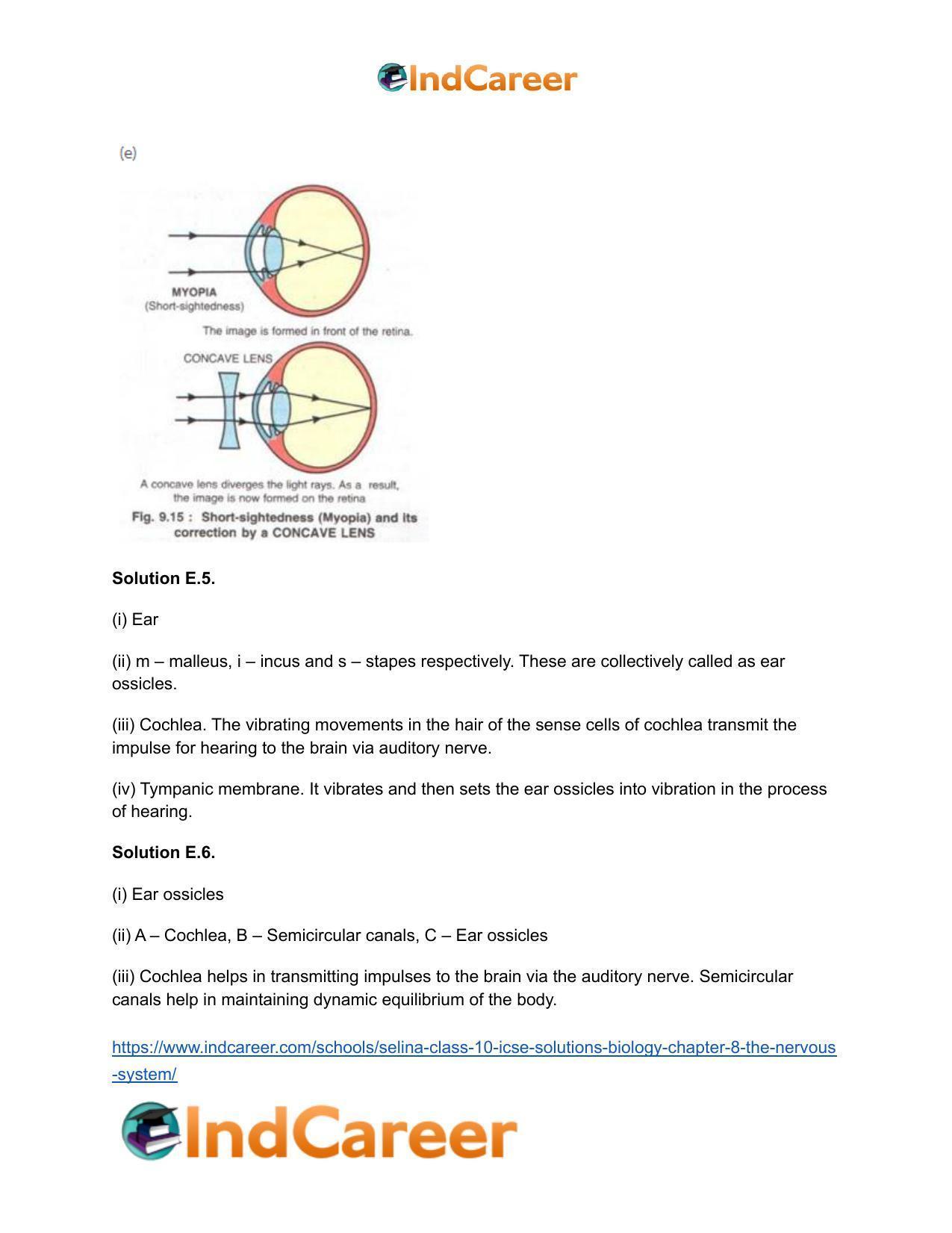 Selina Class 10 ICSE Solutions Biology : Chapter 8- The Nervous System - Page 18