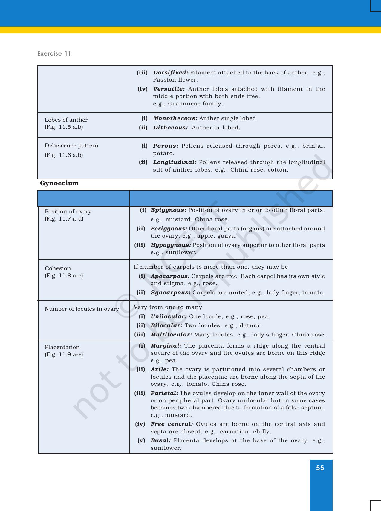 NCERT Laboratory Manuals for Class XI Biology - Exercise 11 & 12 - Page 4
