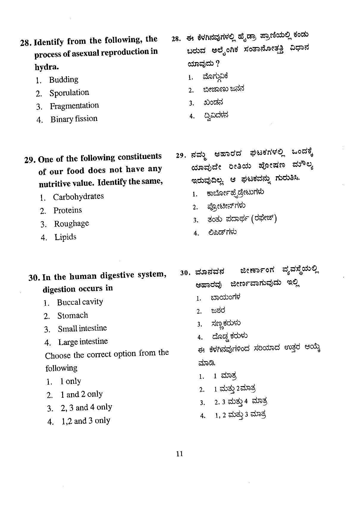 Karnataka NTSE 2009 SAT Question Paper - Page 11