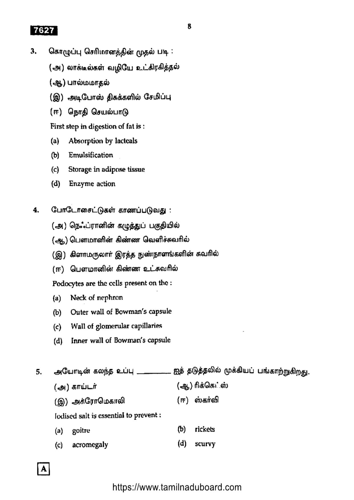 TN Class 11 Biology 7627 Set A Question Papers 2024 - Page 8