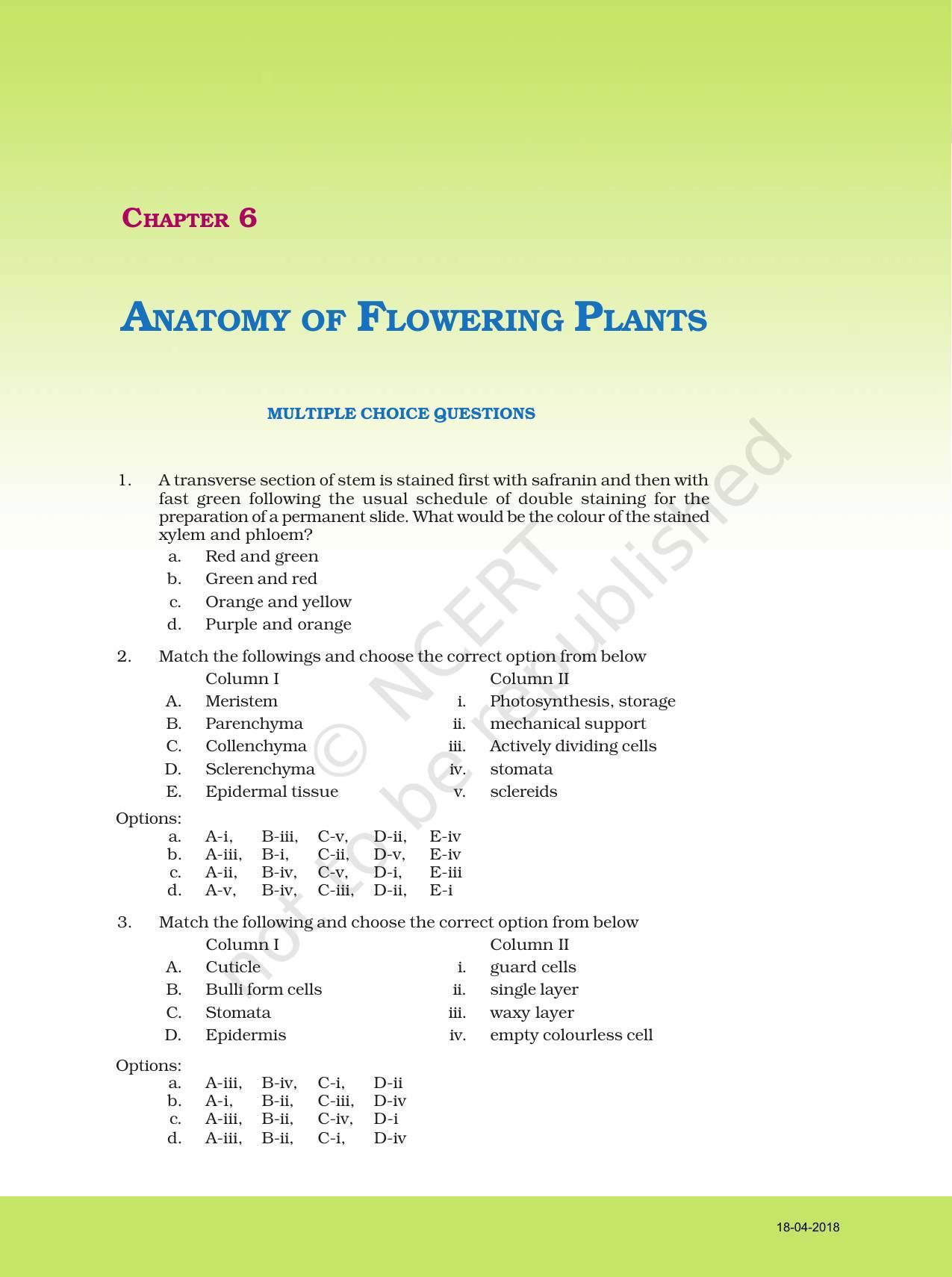 NCERT Exemplar Book for Class 11 Biology: Chapter 6 Anatomy of Flowering Plants - Page 1