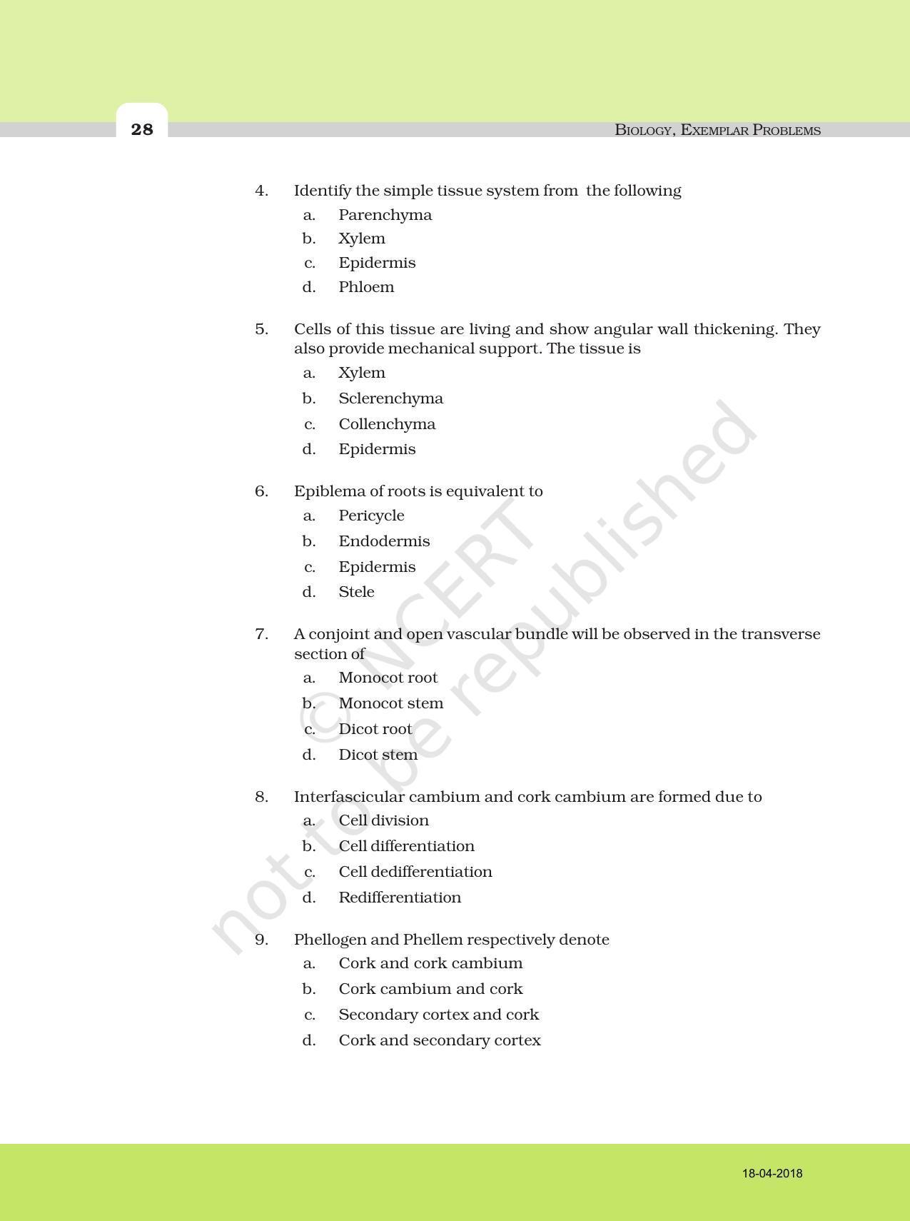 NCERT Exemplar Book for Class 11 Biology: Chapter 6 Anatomy of Flowering Plants - Page 2