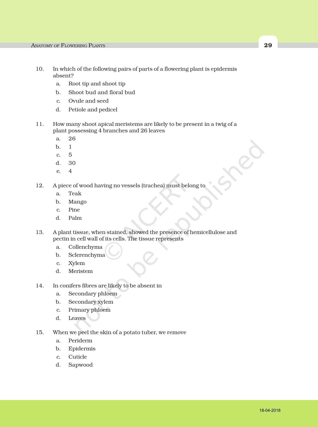 NCERT Exemplar Book for Class 11 Biology: Chapter 6 Anatomy of Flowering Plants - Page 3