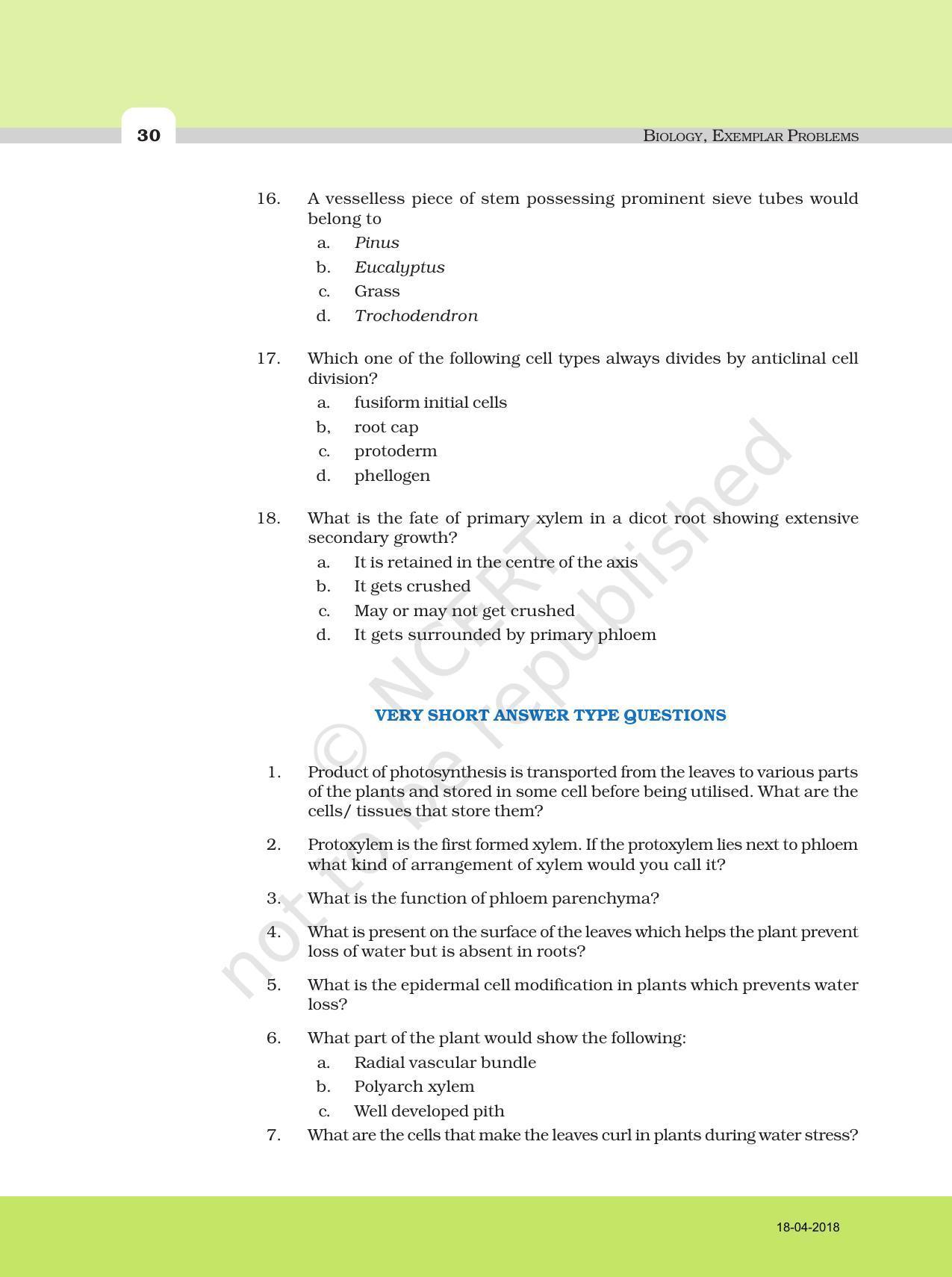 NCERT Exemplar Book for Class 11 Biology: Chapter 6 Anatomy of Flowering Plants - Page 4