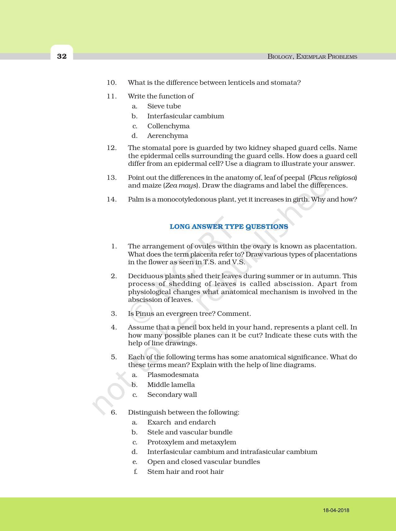 NCERT Exemplar Book for Class 11 Biology: Chapter 6 Anatomy of Flowering Plants - Page 6