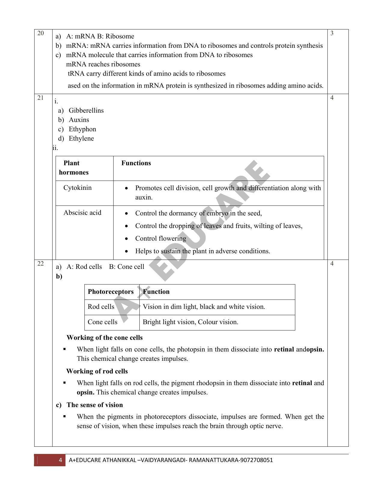 Kerala SSLC 2019  Biology Answer Key (EM) - Page 4