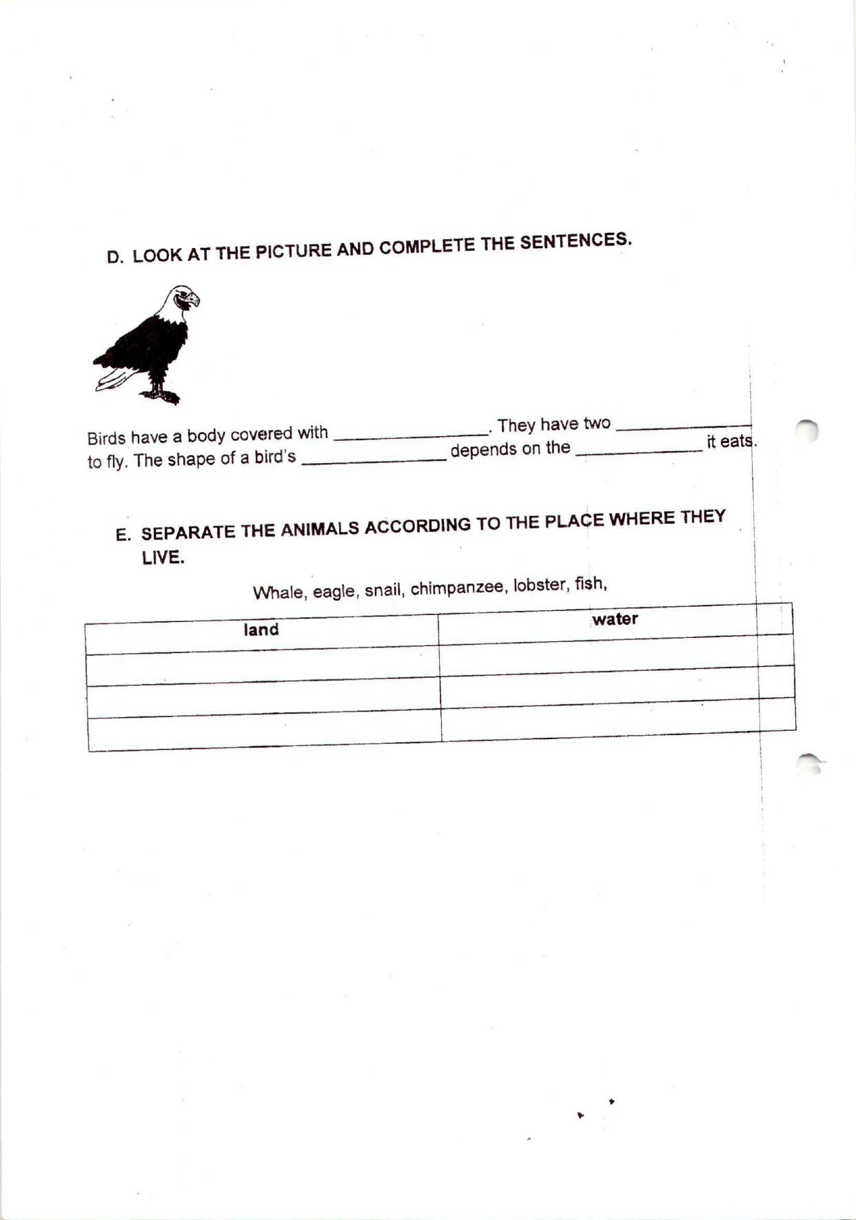 Worksheet for Class 3 EVS Assignment 101 Animals - Page 1