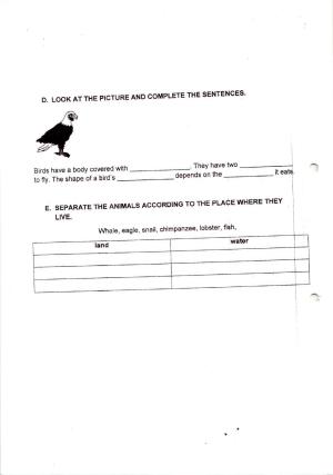 Worksheet for Class 3 EVS Assignment 101 Animals