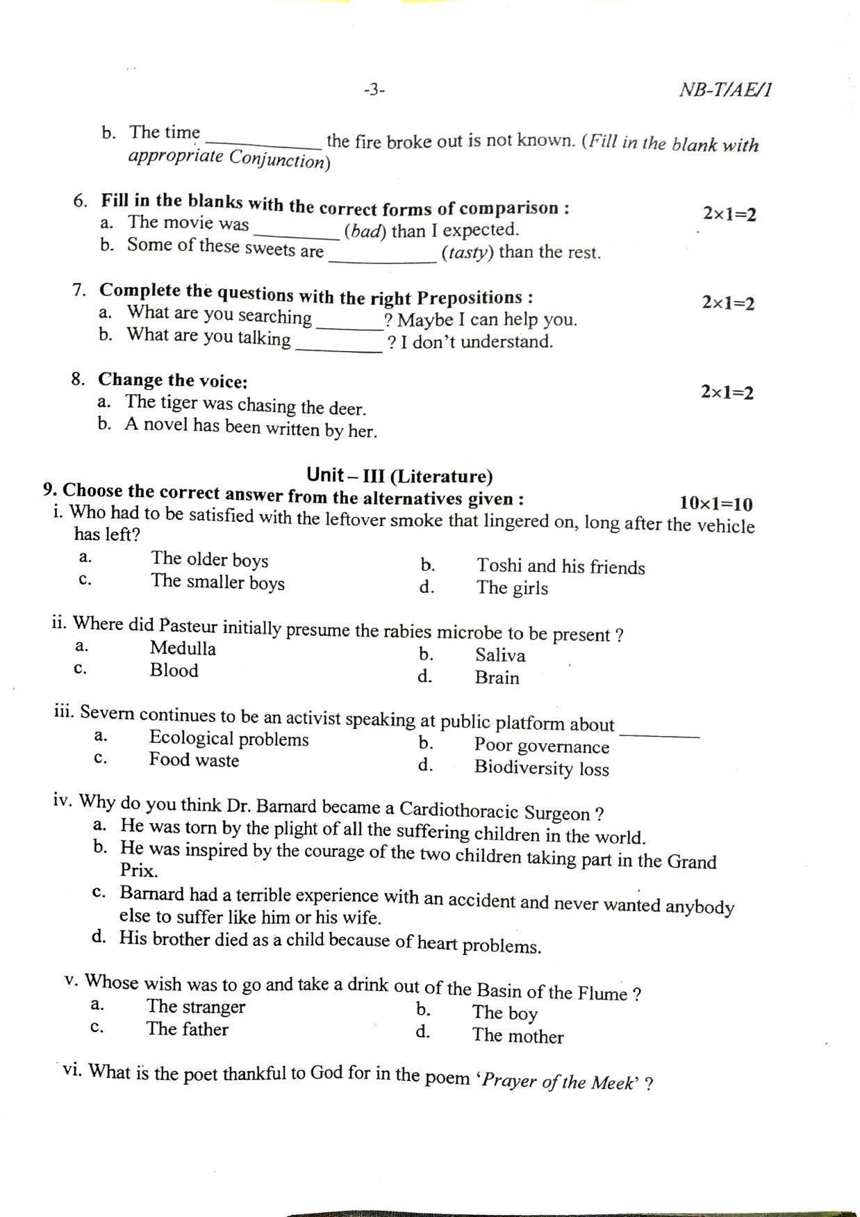 Nagaland Board Class 10 Alternative English 2022 Question Paper - Page 3