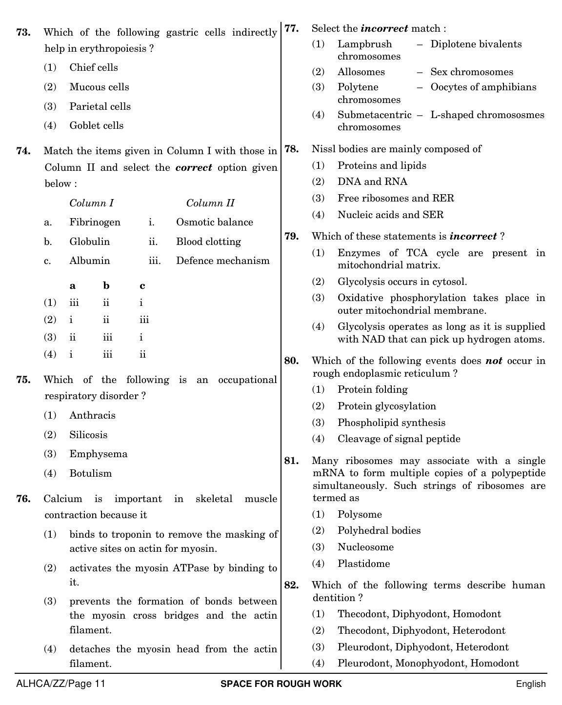 NEET English ZZ 2019 Question Paper - Page 11