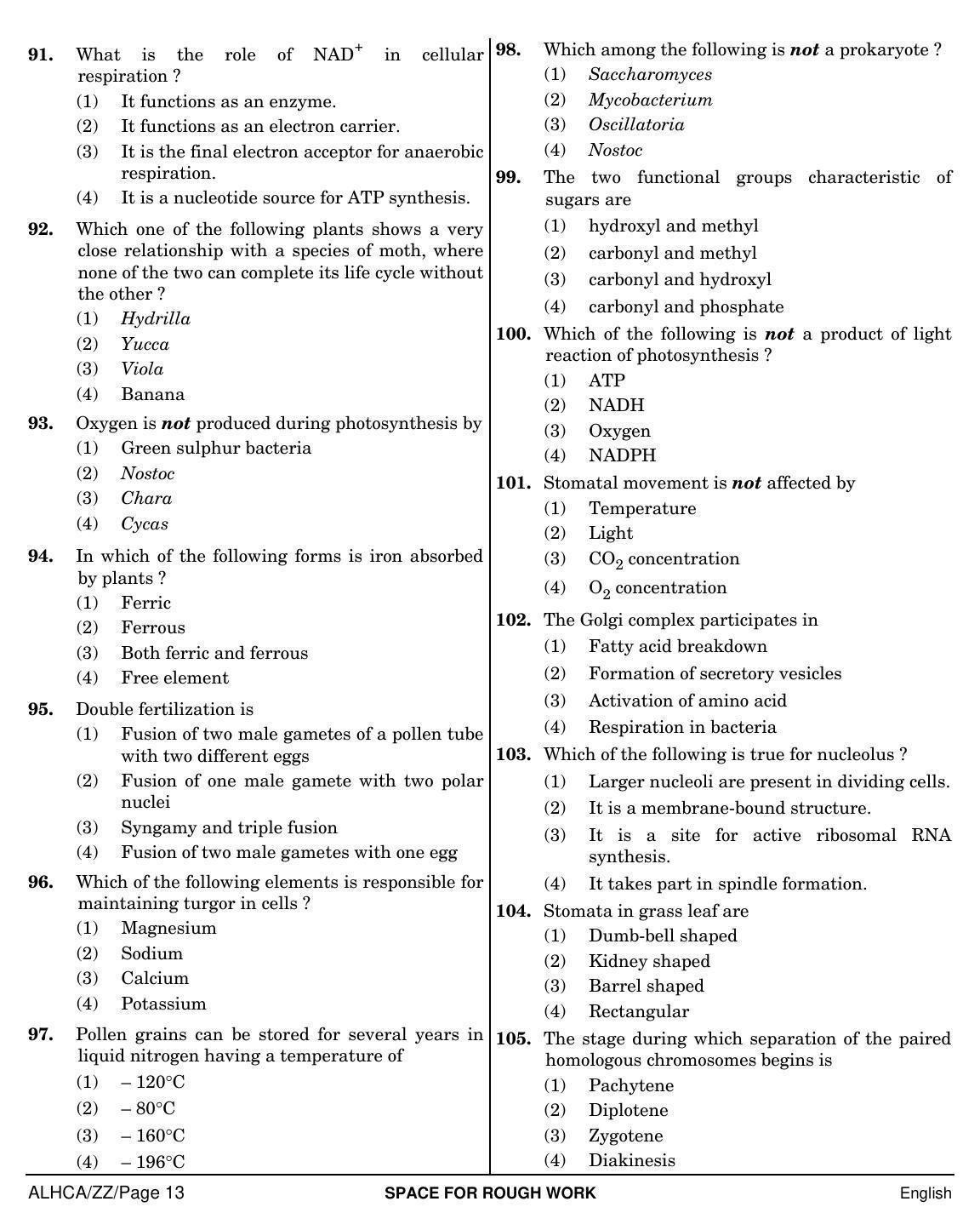 NEET English ZZ 2019 Question Paper - Page 13