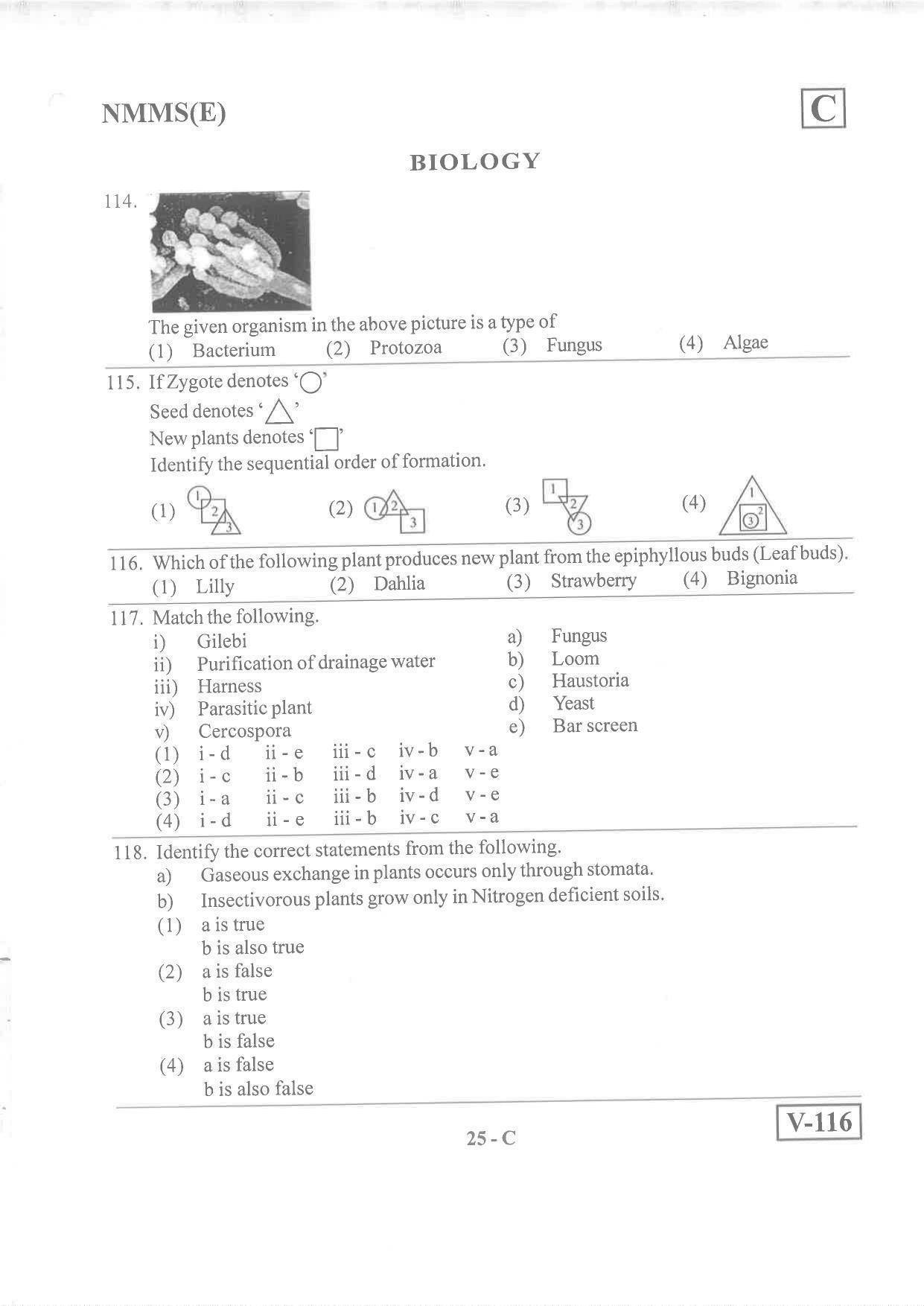 English Medium Nov 2019 (Set C) Class 8 Andhra Pradesh NMMS Question Papers - Page 25