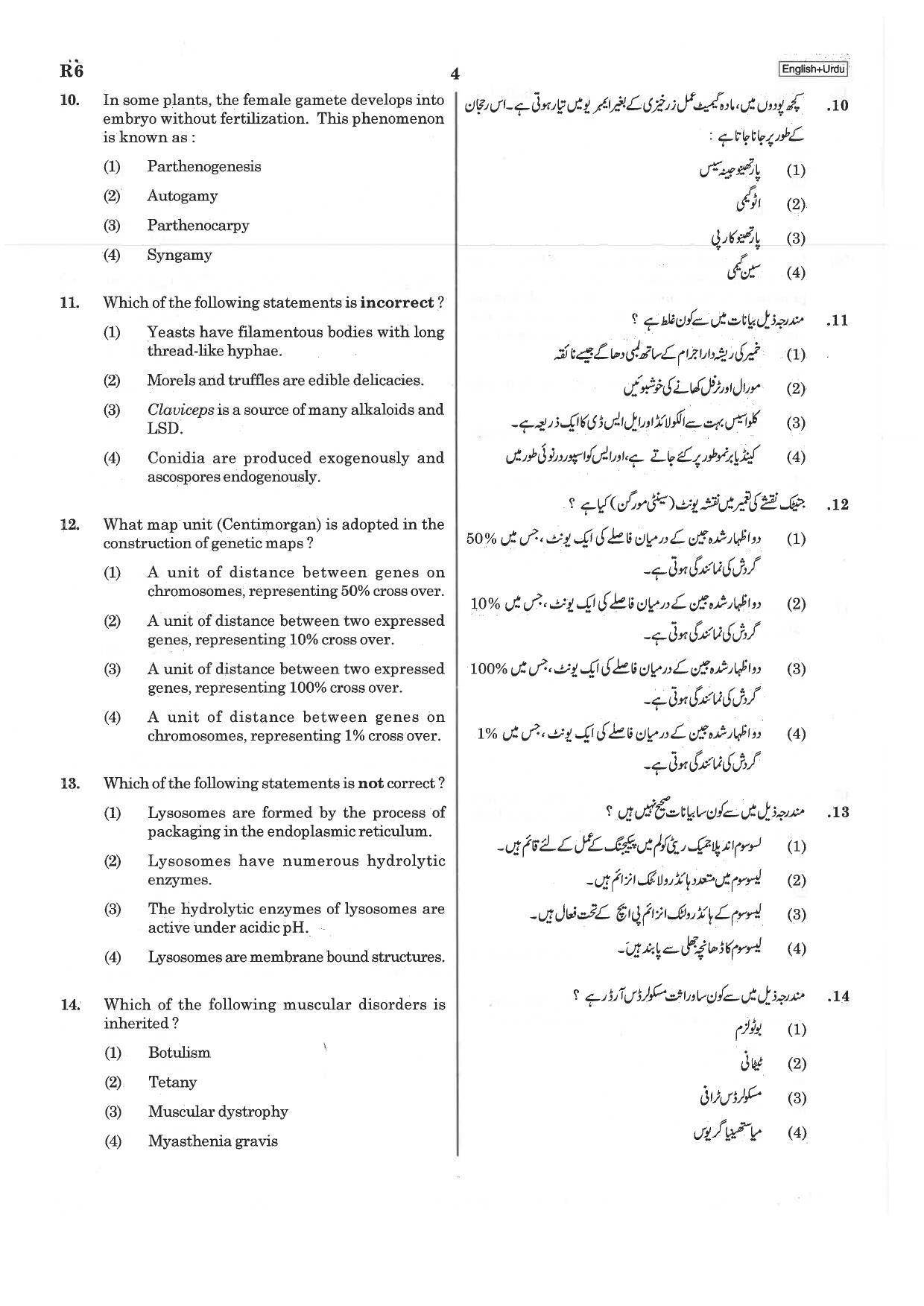 NEET R6 2019 Question Paper - Page 4