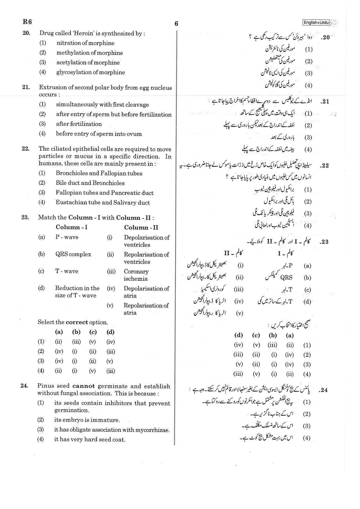NEET R6 2019 Question Paper - Page 6