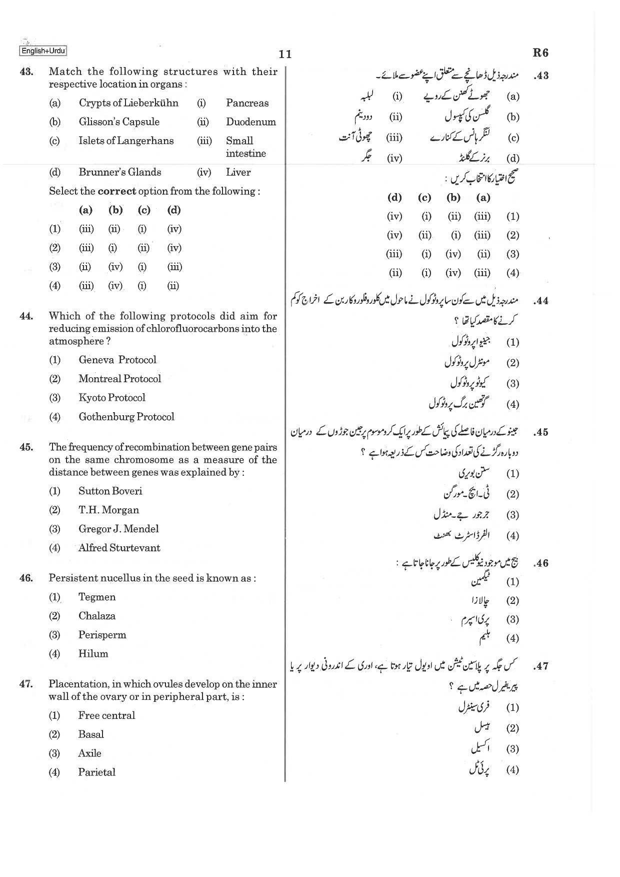 NEET R6 2019 Question Paper - Page 11