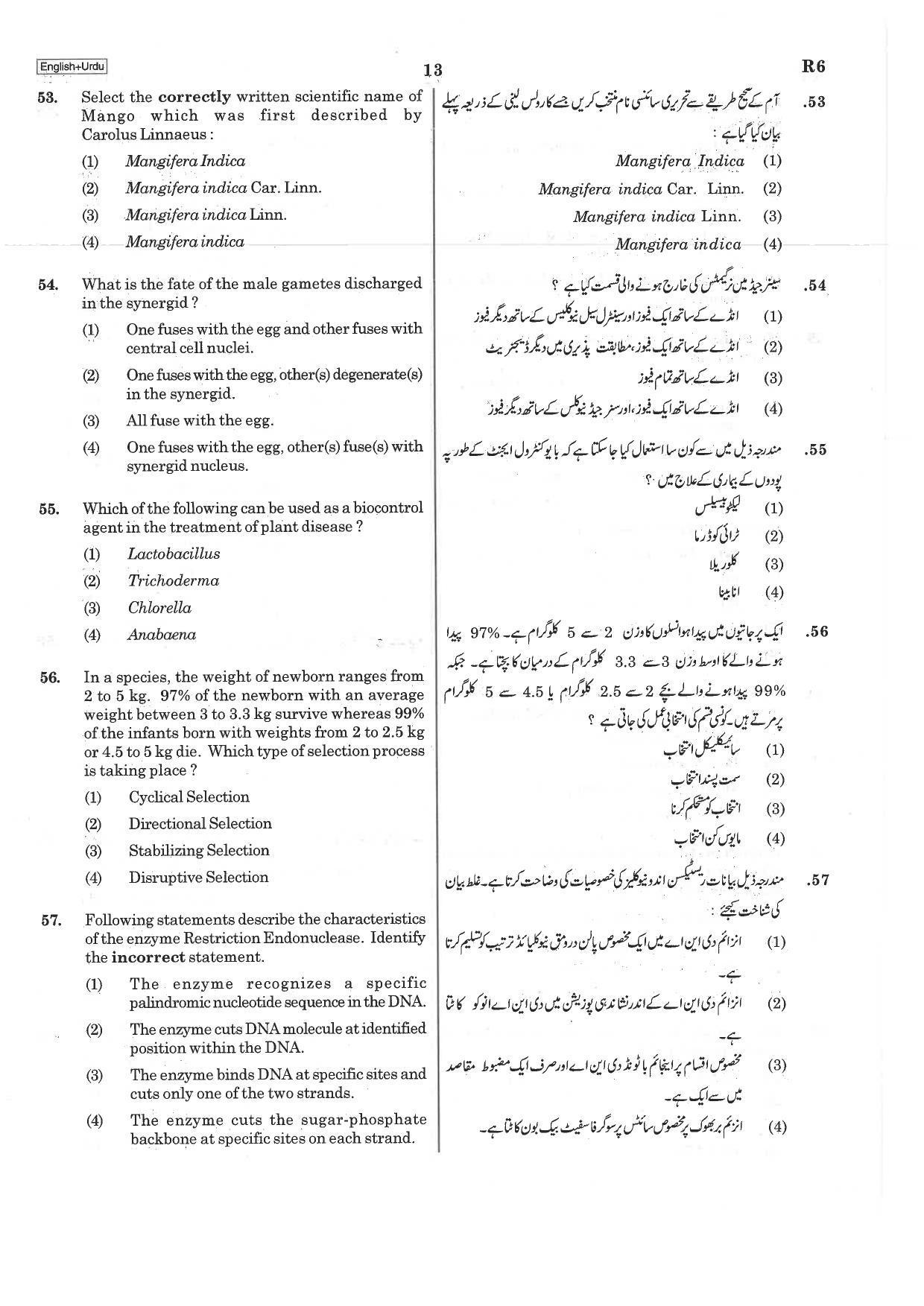 NEET R6 2019 Question Paper - Page 13