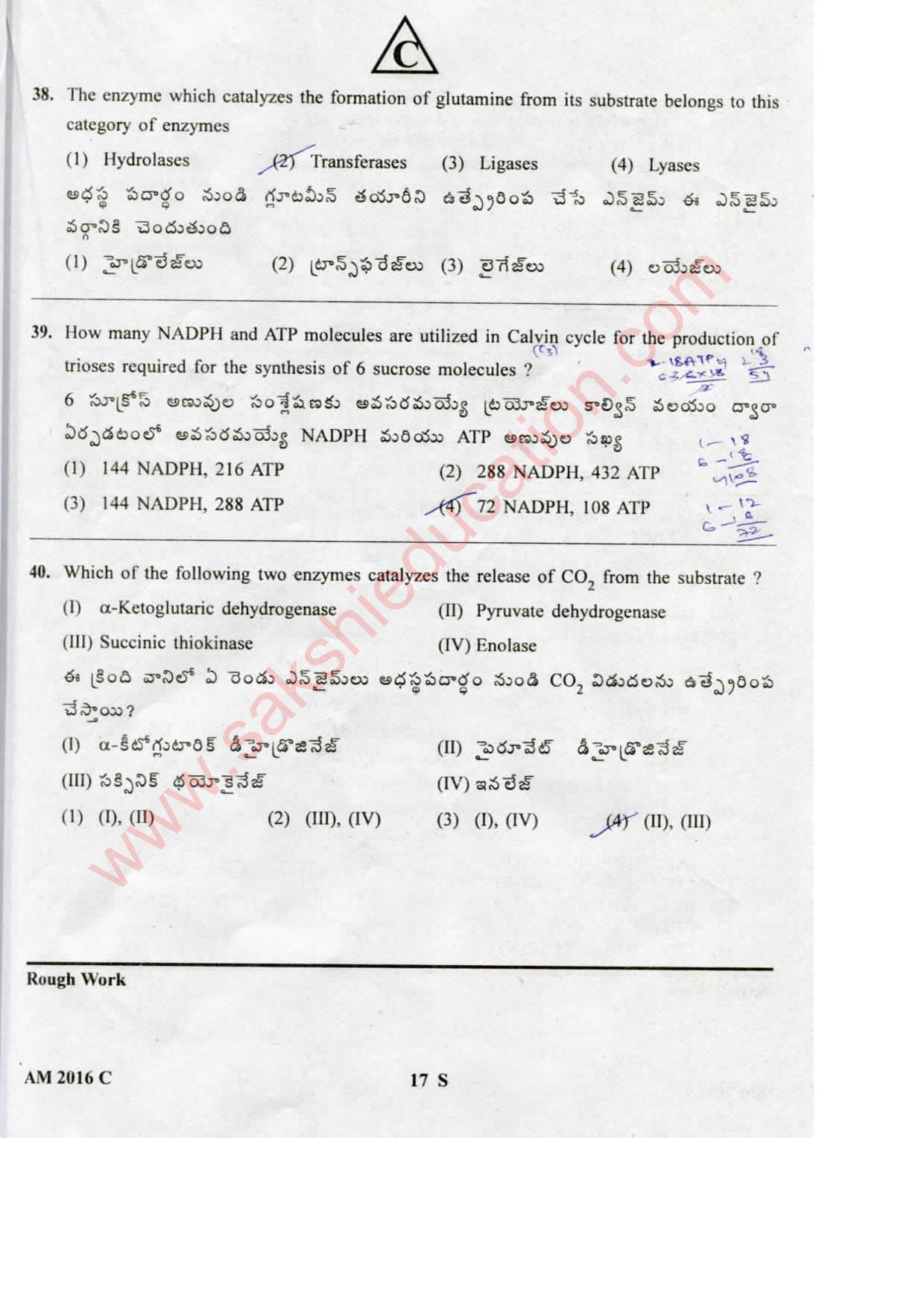 TS EAMCET 2016 Medical Question Paper with Key (Held on 15 May 2016) - Page 17