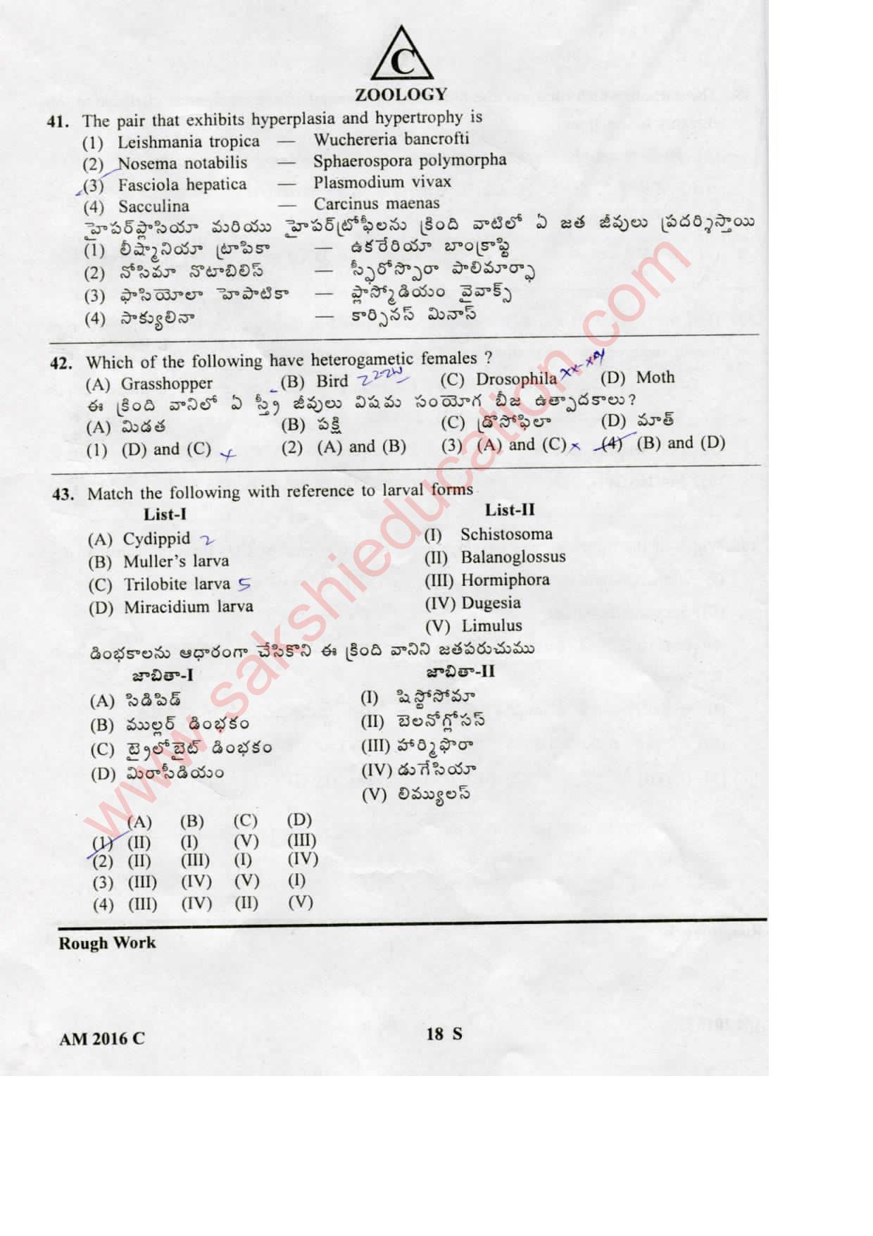 TS EAMCET 2016 Medical Question Paper with Key (Held on 15 May 2016) - Page 18