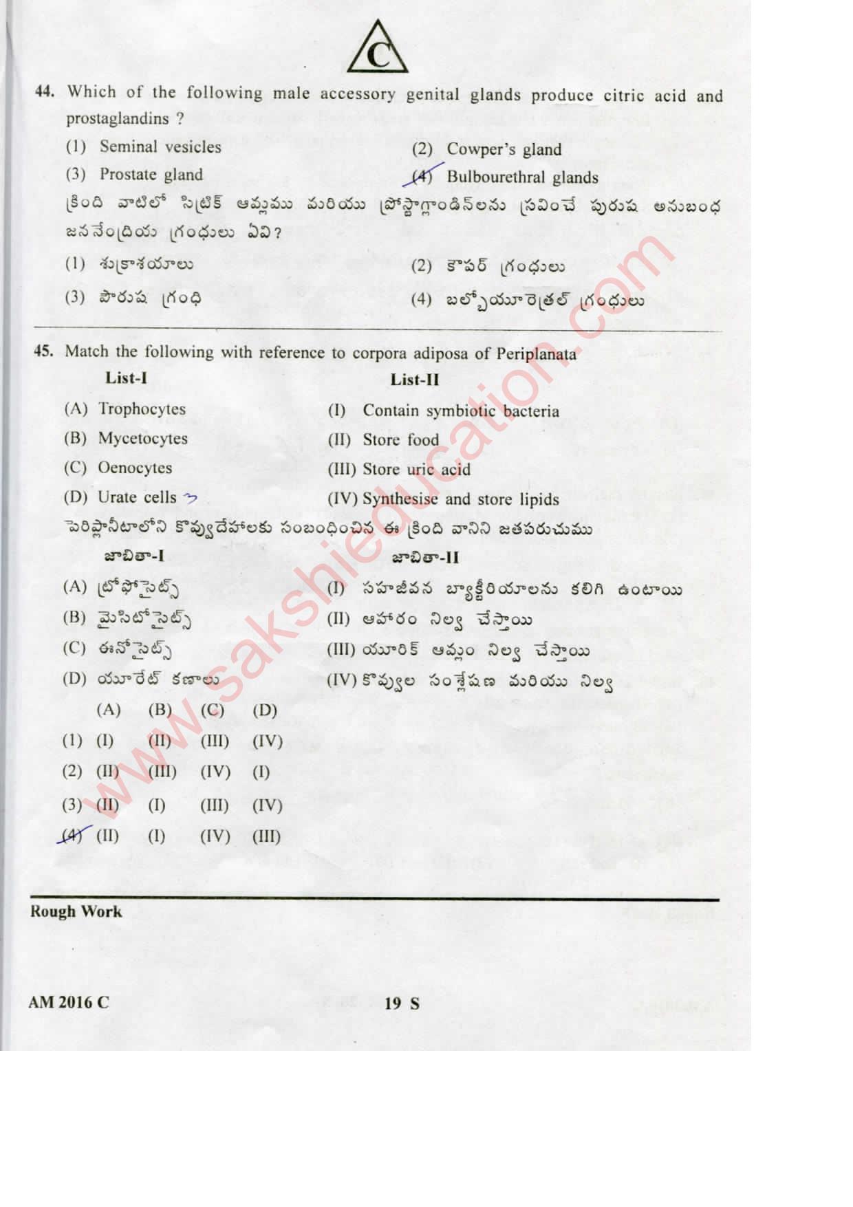 TS EAMCET 2016 Medical Question Paper with Key (Held on 15 May 2016) - Page 19