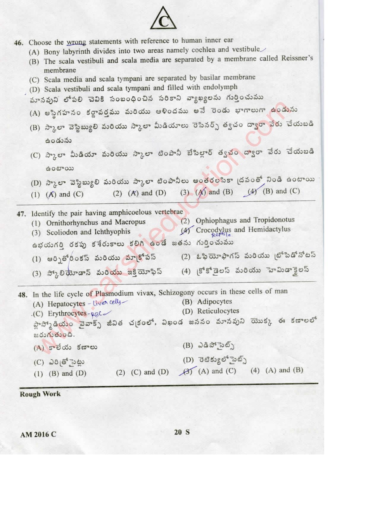 TS EAMCET 2016 Medical Question Paper with Key (Held on 15 May 2016) - Page 20
