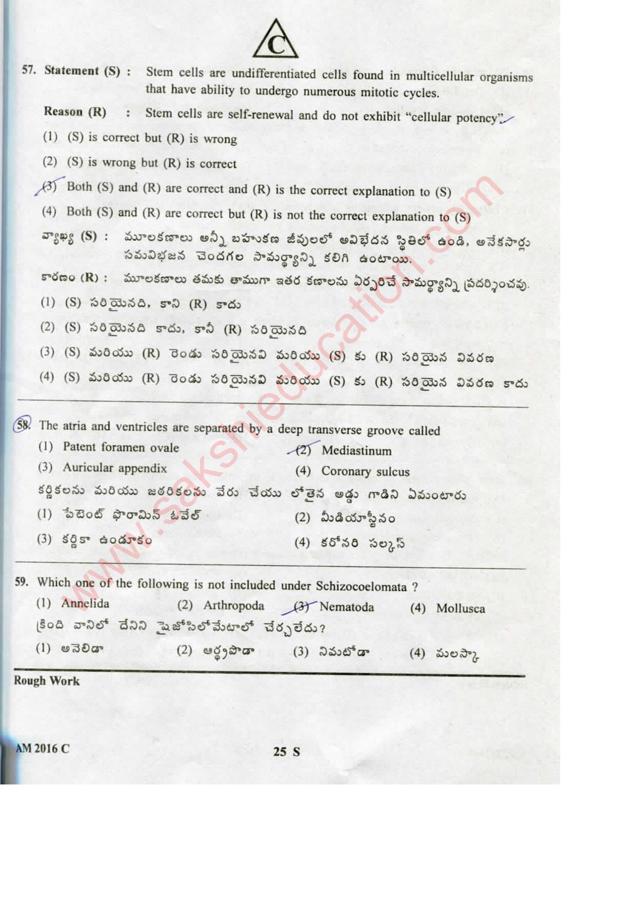 TS EAMCET 2016 Medical Question Paper with Key (Held on 15 May 2016) - Page 25