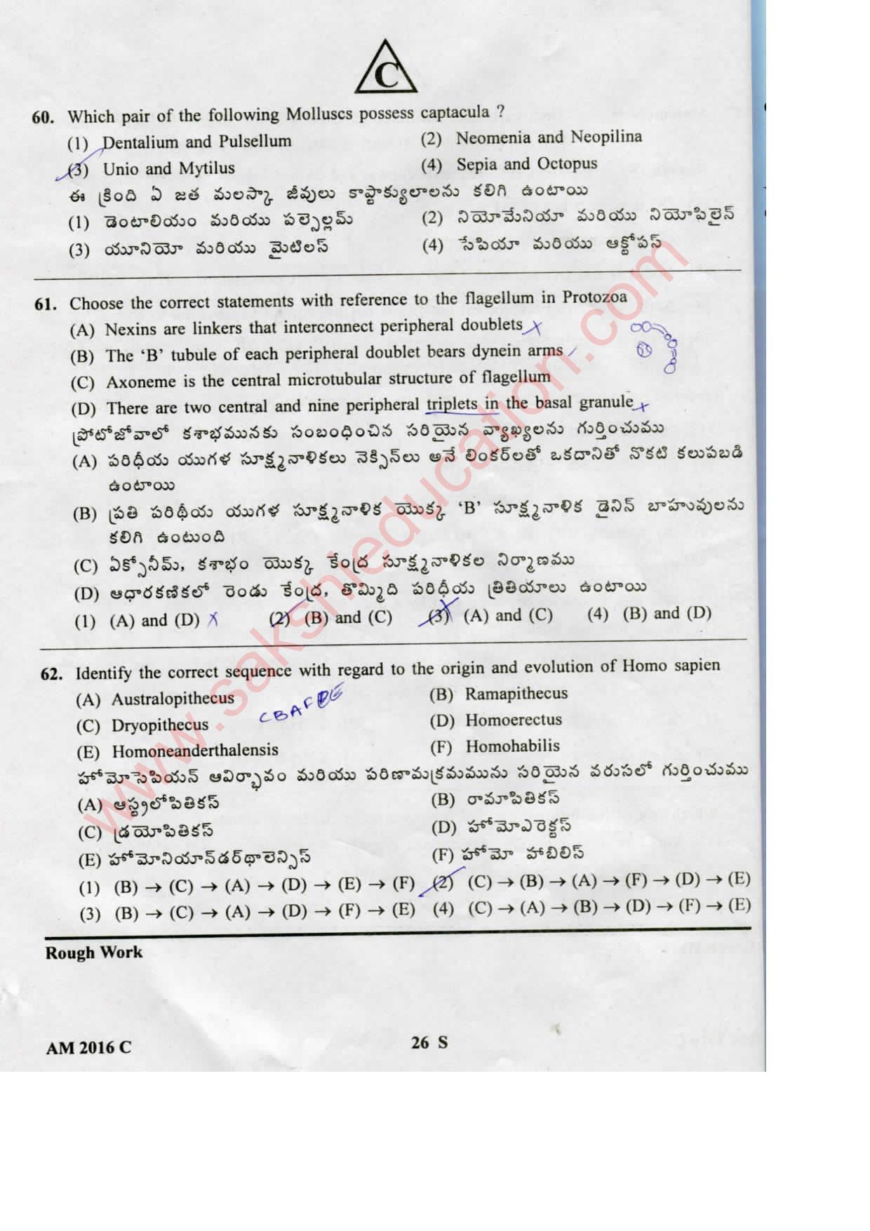 TS EAMCET 2016 Medical Question Paper with Key (Held on 15 May 2016) - Page 26