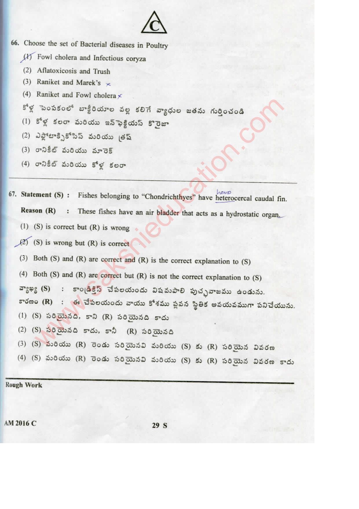 TS EAMCET 2016 Medical Question Paper with Key (Held on 15 May 2016) - Page 29