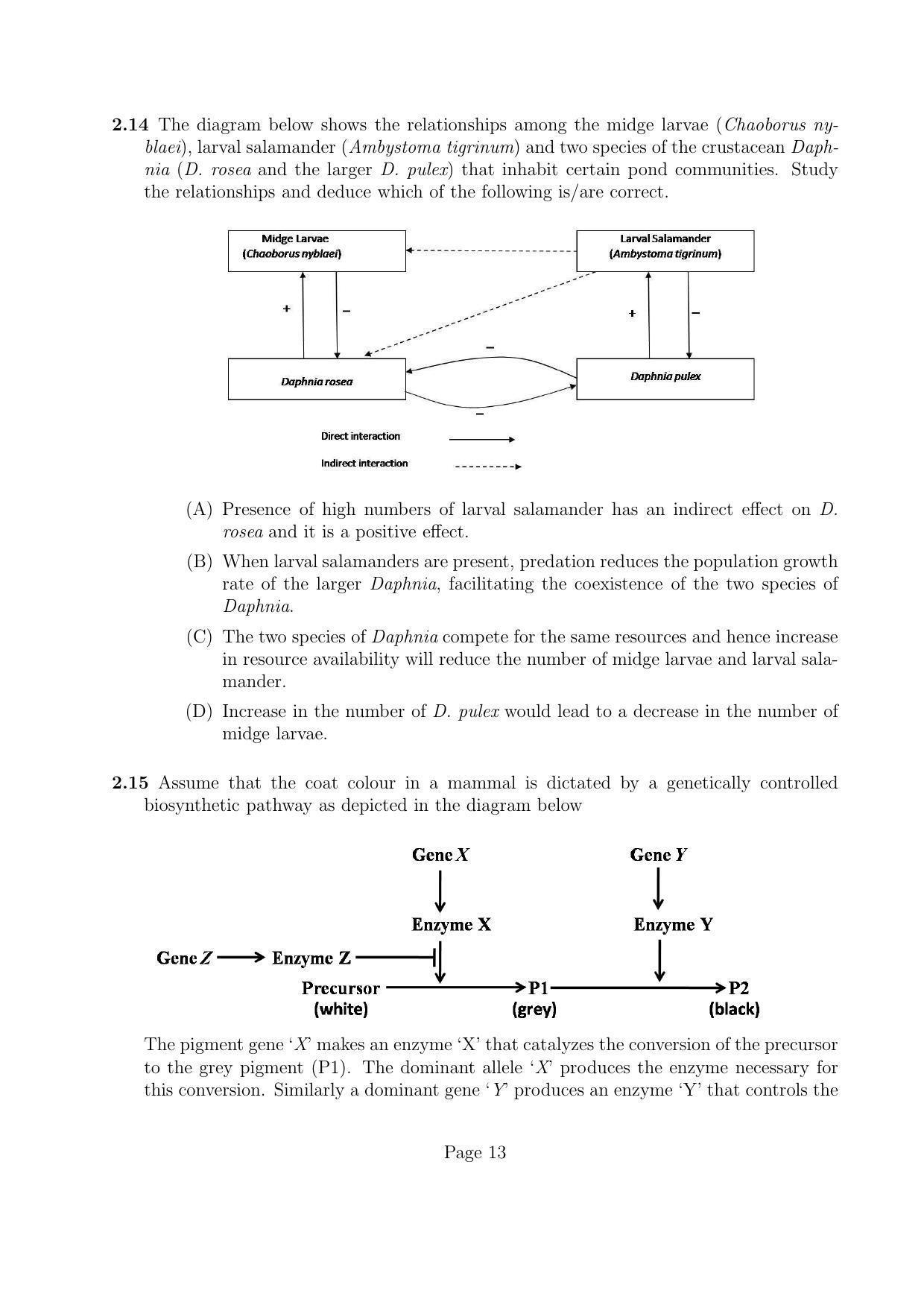 NEST 2016 Question Paper - Page 13