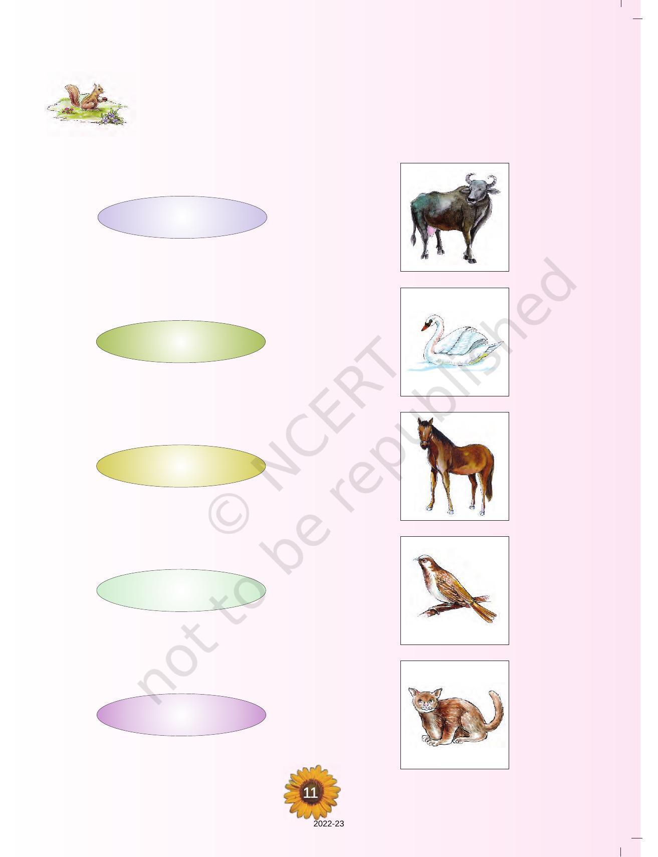 NCERT Book for Class 1 English (Raindrop):Unit 6-Animals And Birds - Page 2