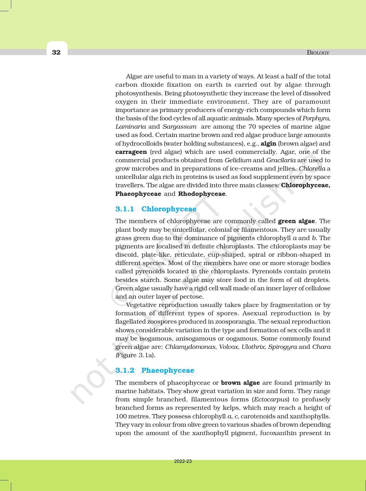 NCERT Book for Class 11 Biology Chapter 3 Plant Kingdom - Page 4