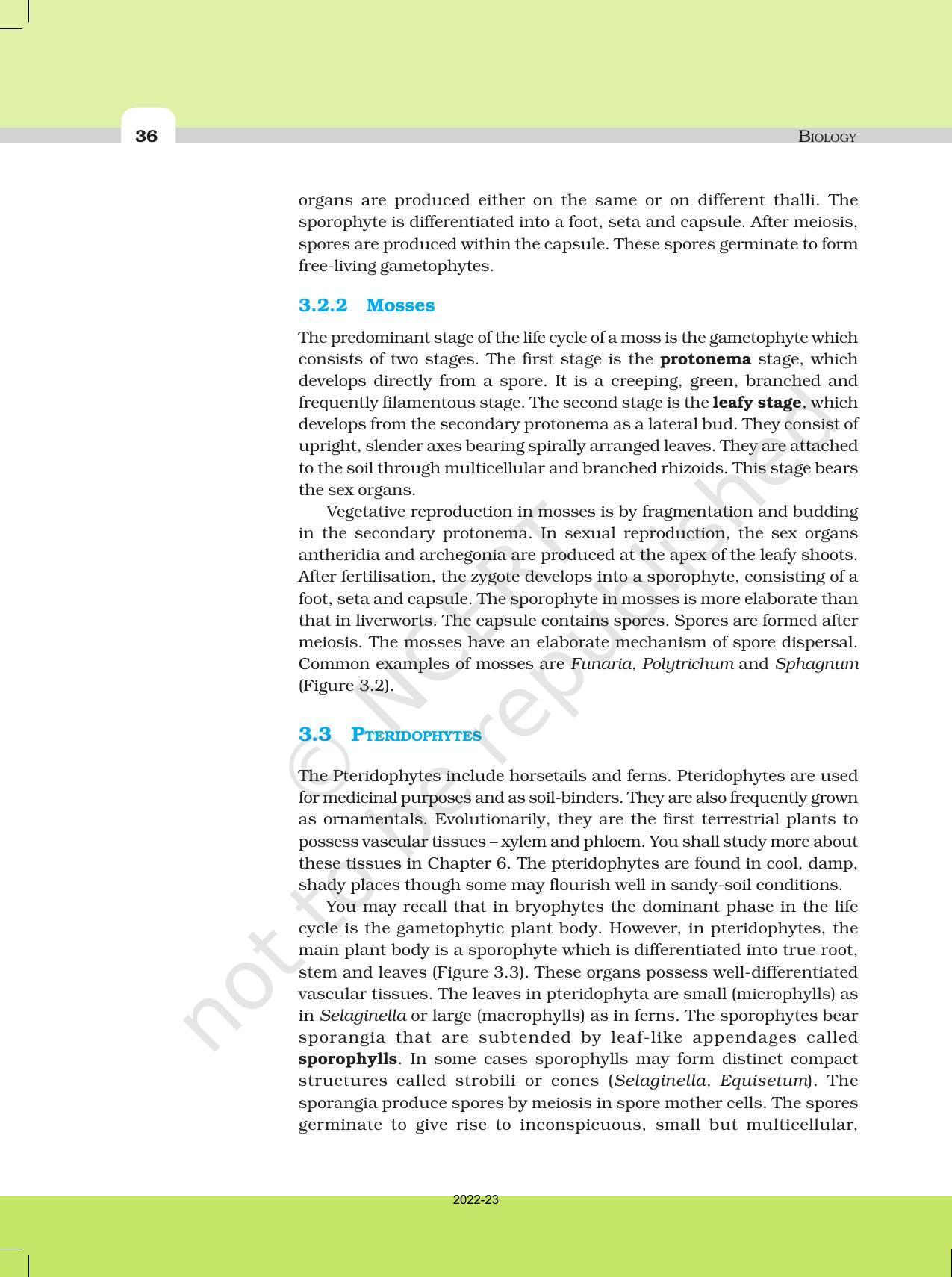 NCERT Book for Class 11 Biology Chapter 3 Plant Kingdom - Page 8