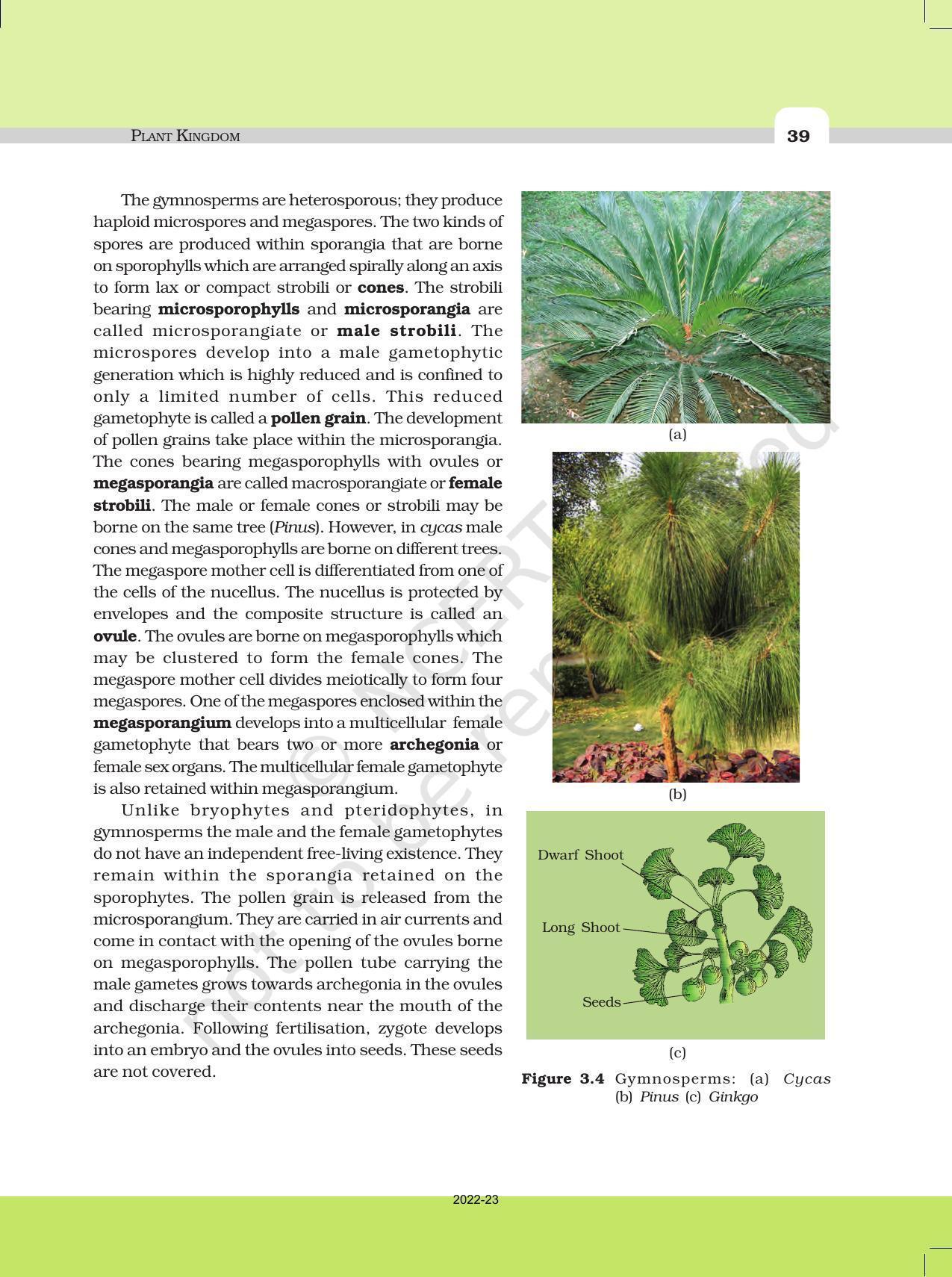 NCERT Book for Class 11 Biology Chapter 3 Plant Kingdom - Page 11
