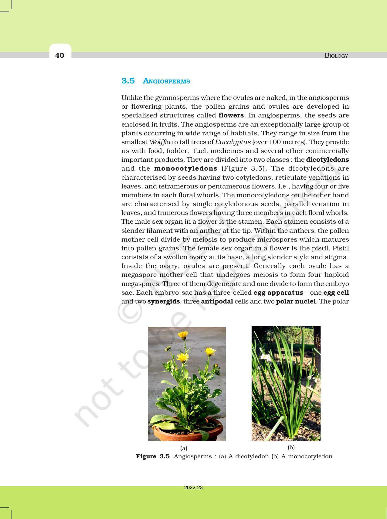 NCERT Book for Class 11 Biology Chapter 3 Plant Kingdom - Page 12