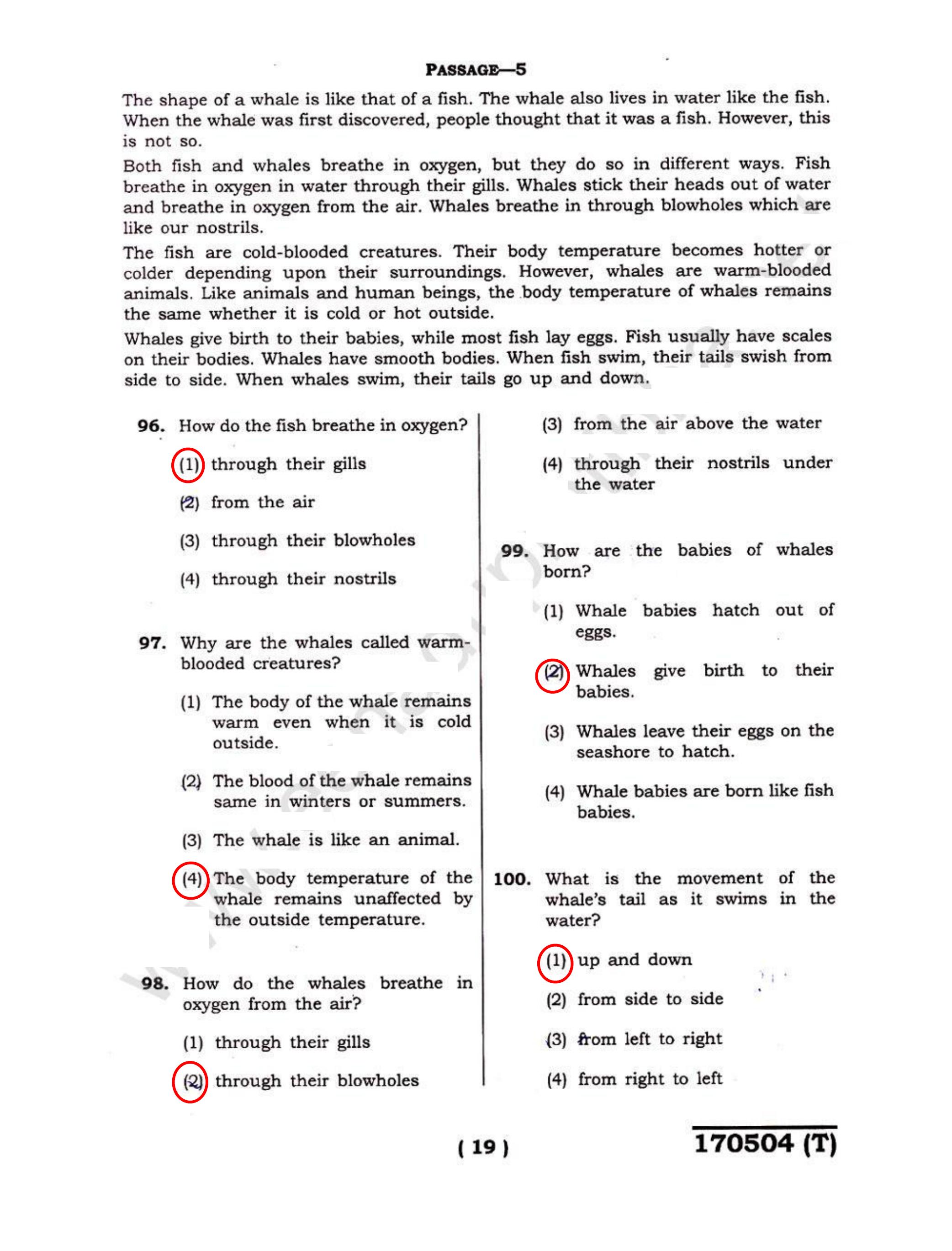 JNVST Class 6 2017 Question Paper with Solutions - Page 18