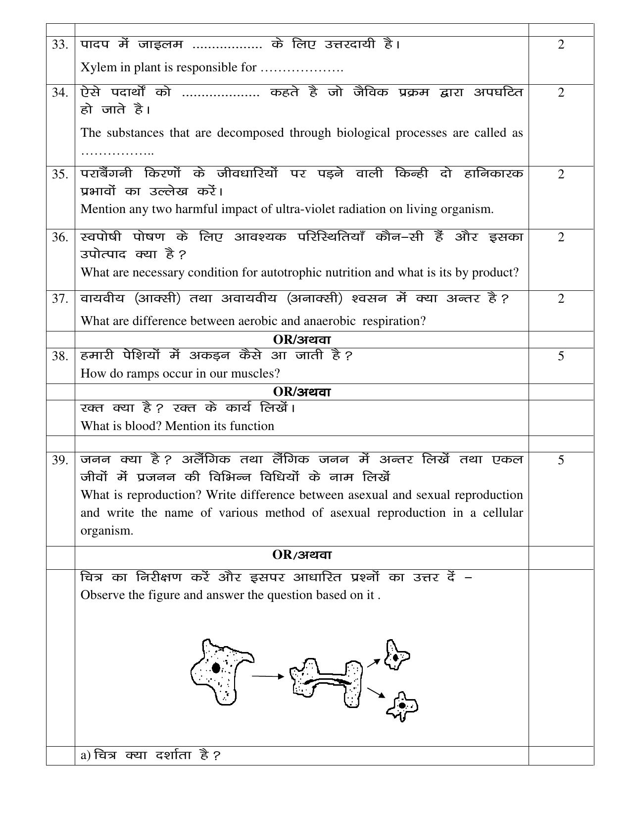 JAC Board Class 10th 2021 (All Subject) Model Paper SET - 4 - Page 25