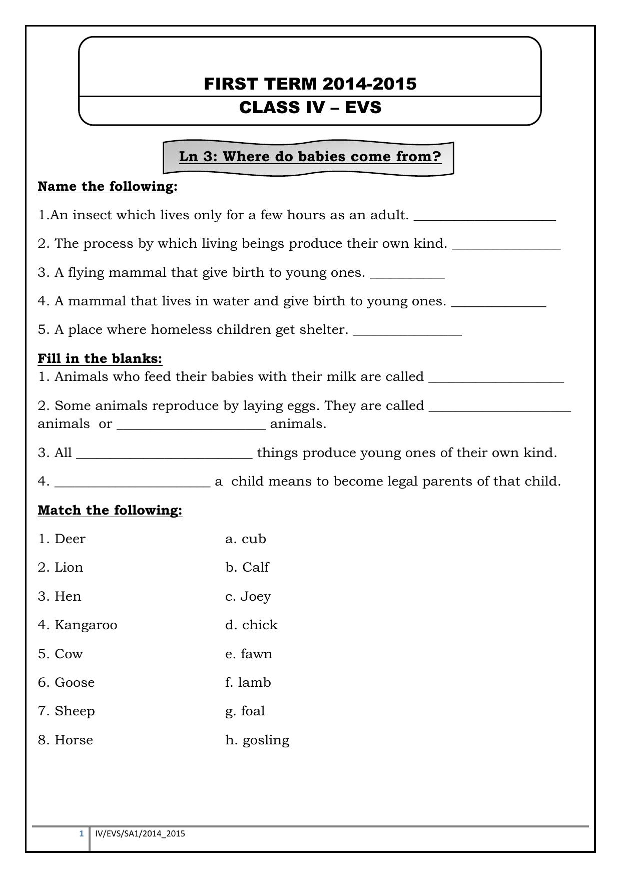 Worksheet for Class 4 Environmental Studies How do we get Food Assignment - Page 1