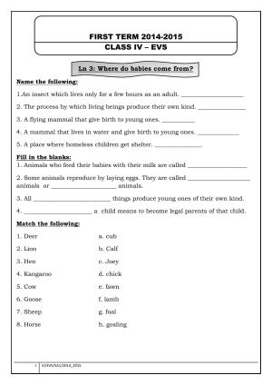 Worksheet for Class 4 Environmental Studies How do we get Food Assignment