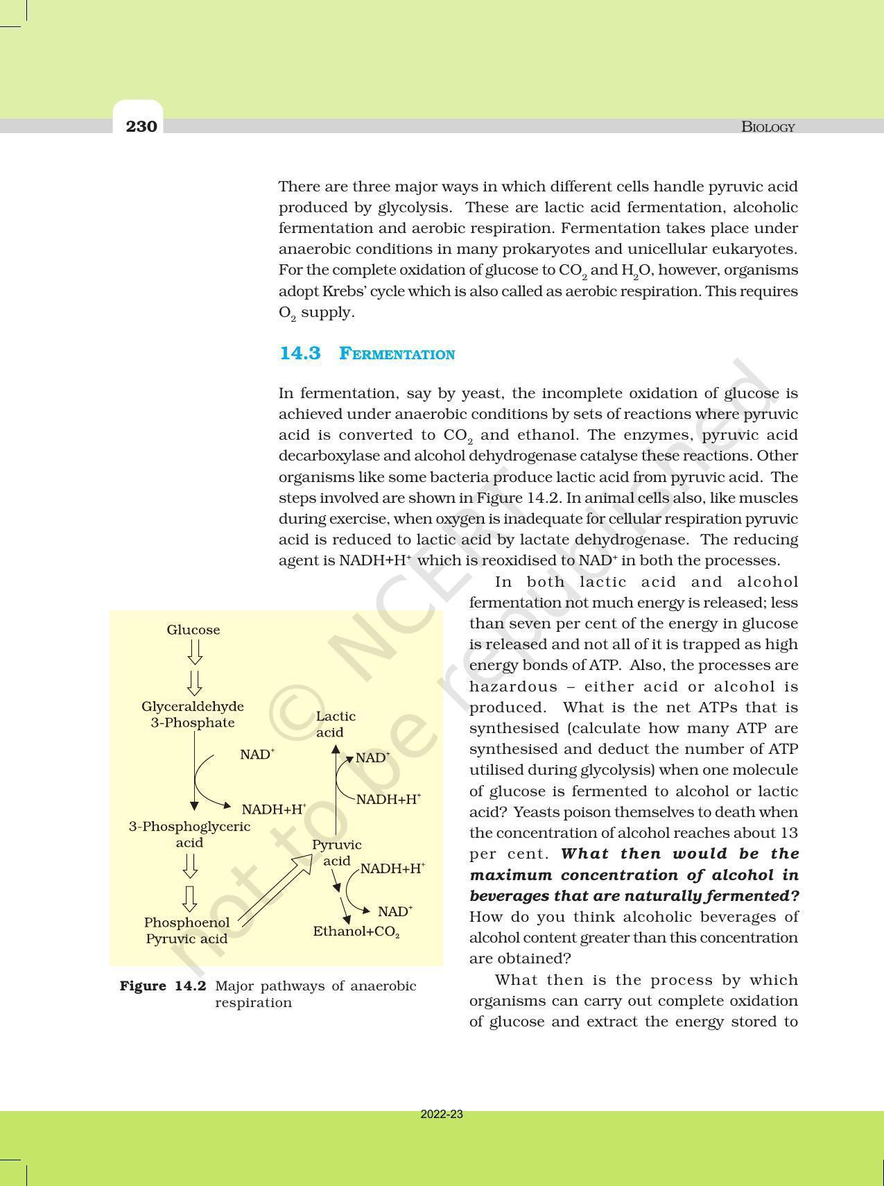 NCERT Book for Class 11 Biology Chapter 14 Respiration in Plants - Page 5