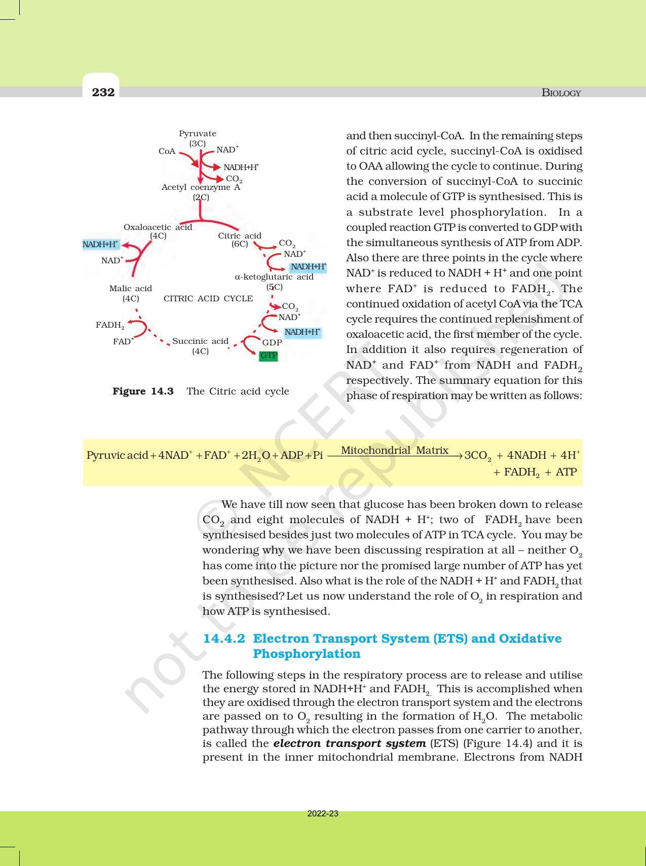 NCERT Book for Class 11 Biology Chapter 14 Respiration in Plants - Page 7
