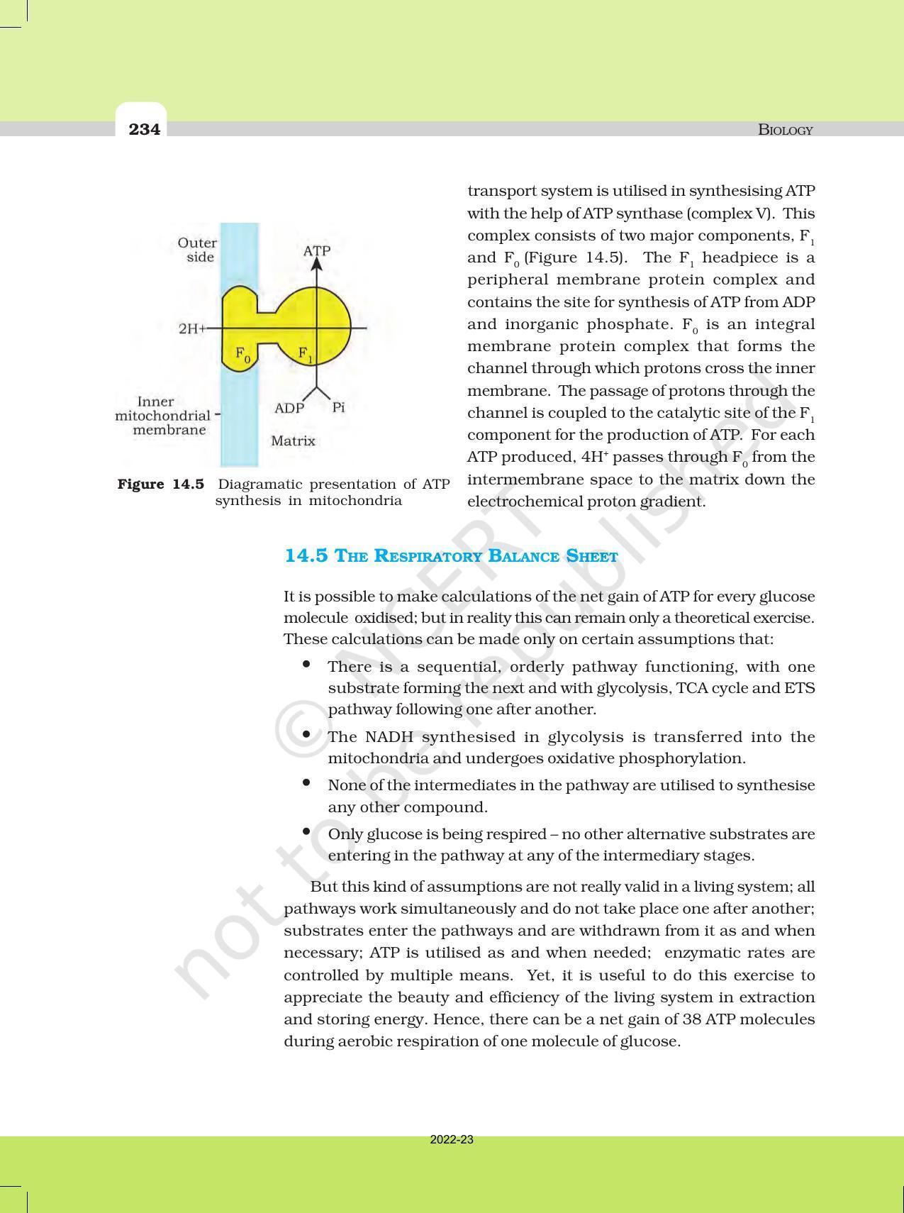 NCERT Book for Class 11 Biology Chapter 14 Respiration in Plants - Page 9