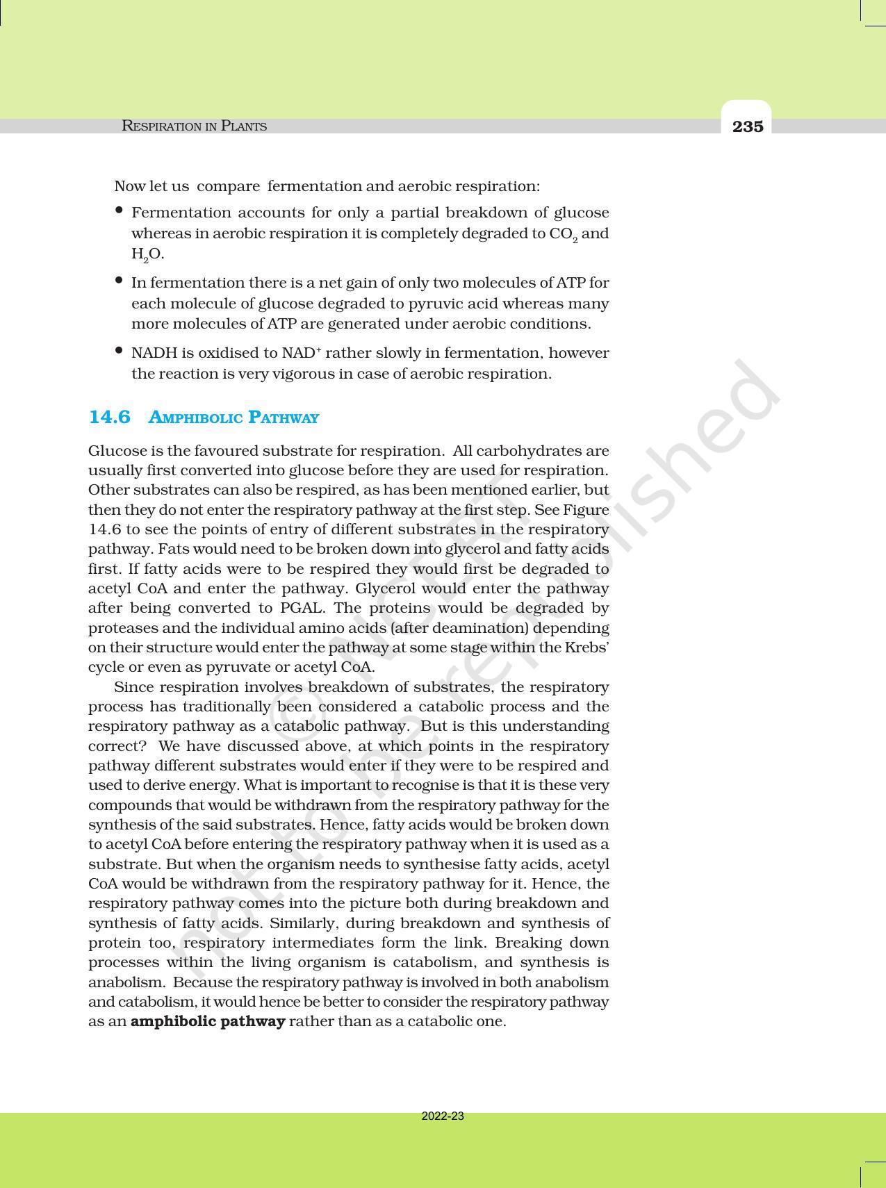 NCERT Book for Class 11 Biology Chapter 14 Respiration in Plants - Page 10
