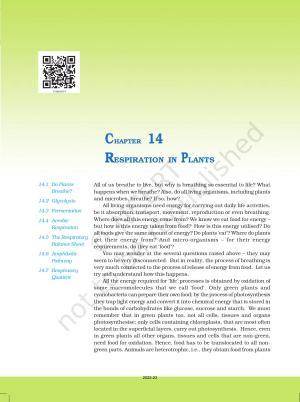 NCERT Book for Class 11 Biology Chapter 14 Respiration in Plants