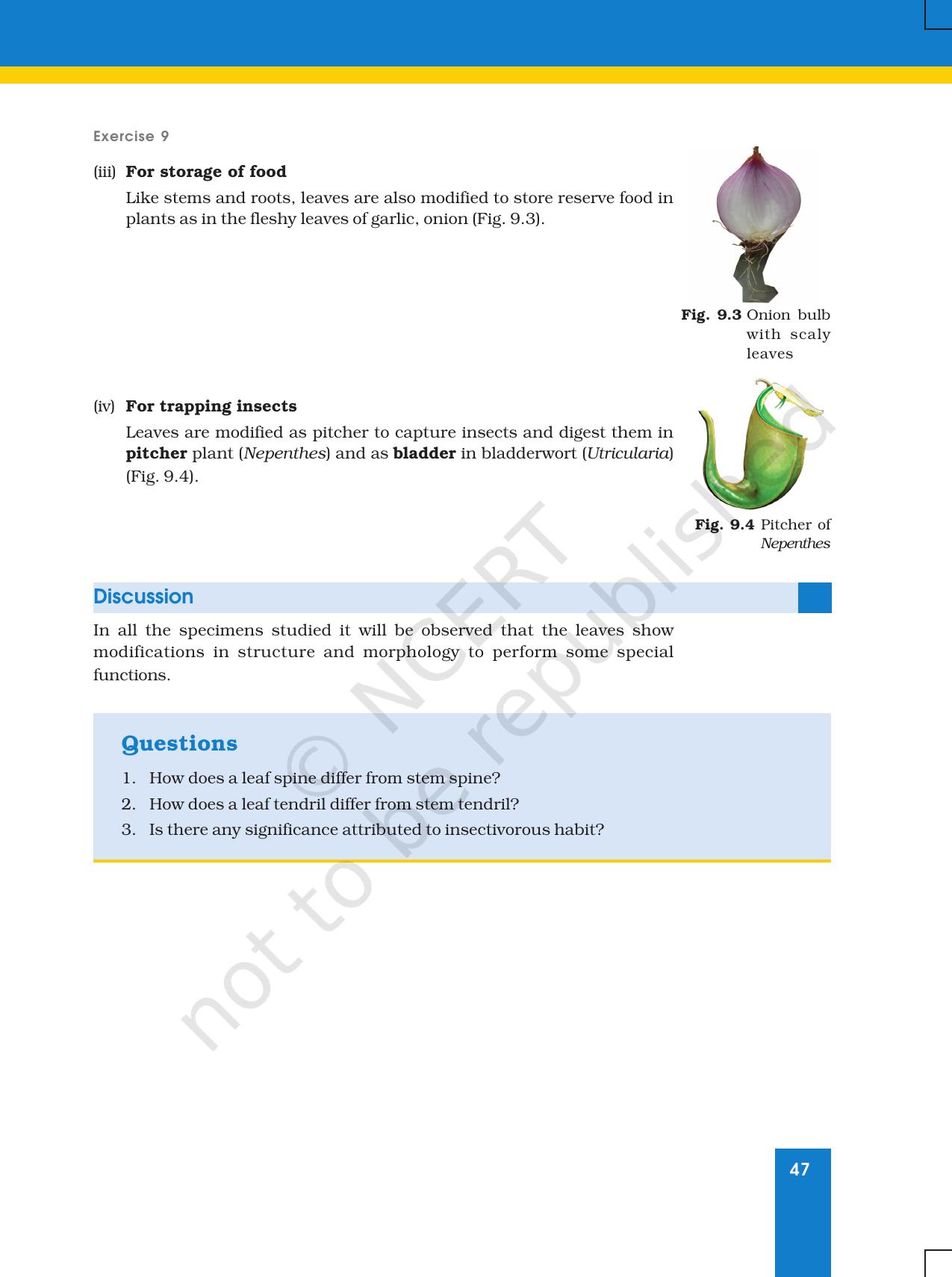 NCERT Laboratory Manuals for Class XI Biology - Exercise 9 & 10 - Page 2