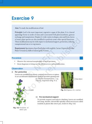 NCERT Laboratory Manuals for Class XI Biology - Exercise 9 & 10