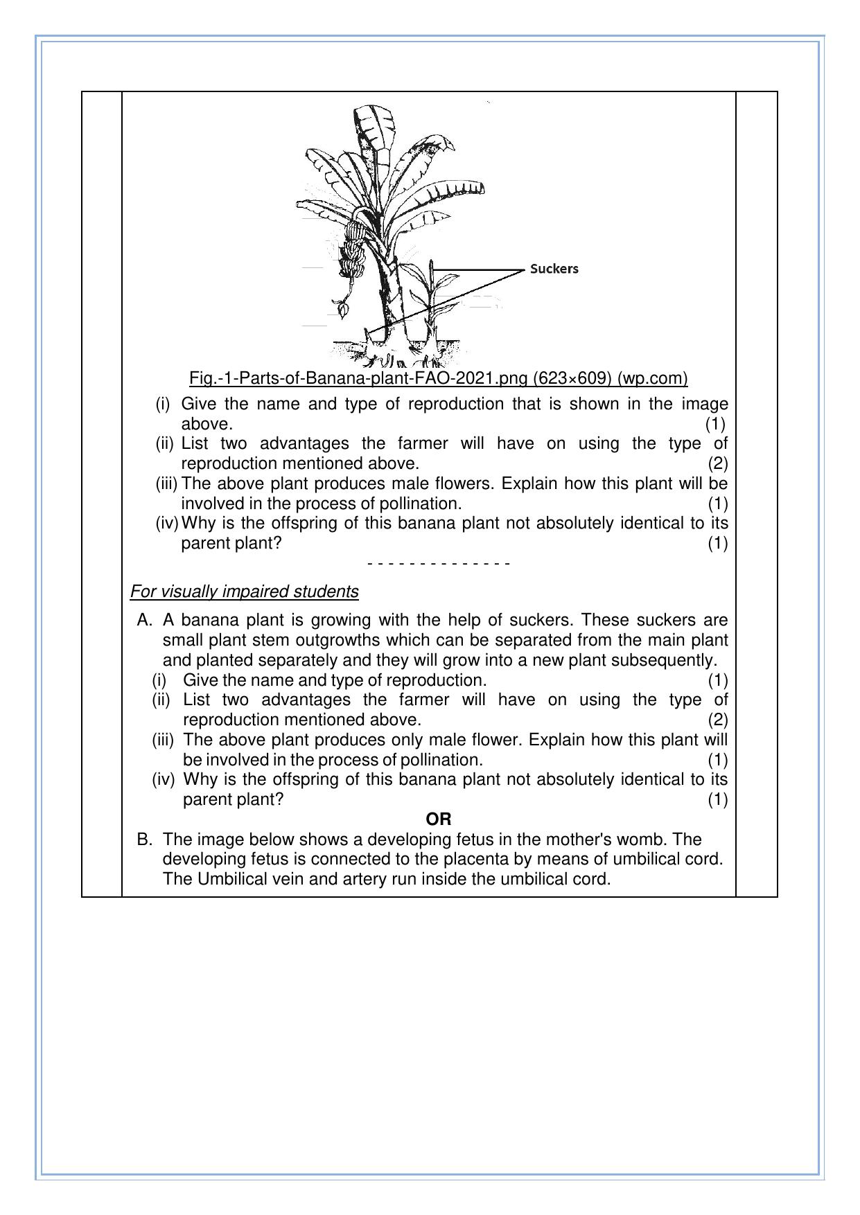 CBSE Class 10 Science Sample Paper 2025 - Page 11