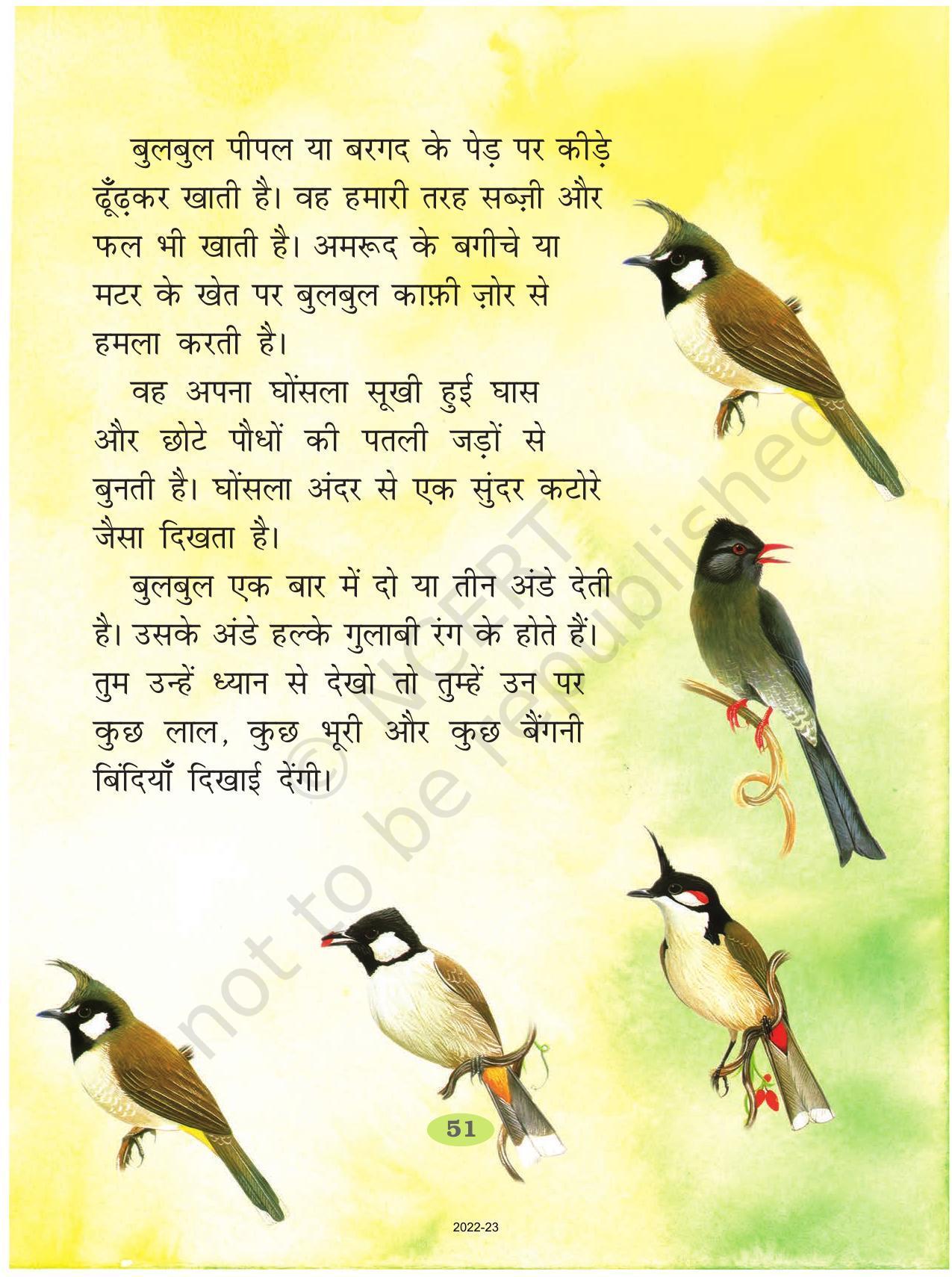 NCERT Book for Class 2 Hindi :Chapter 9-बुलबुल - Page 2