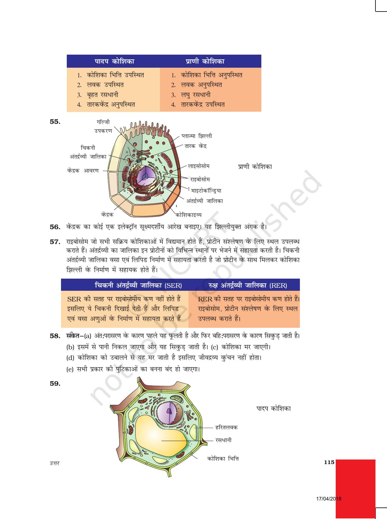 NCERT Exemplar Class 9: विज्ञान उत्तरमाला - Page 25