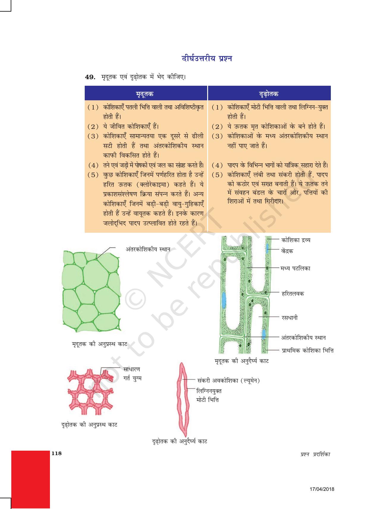 NCERT Exemplar Class 9: विज्ञान उत्तरमाला - Page 28