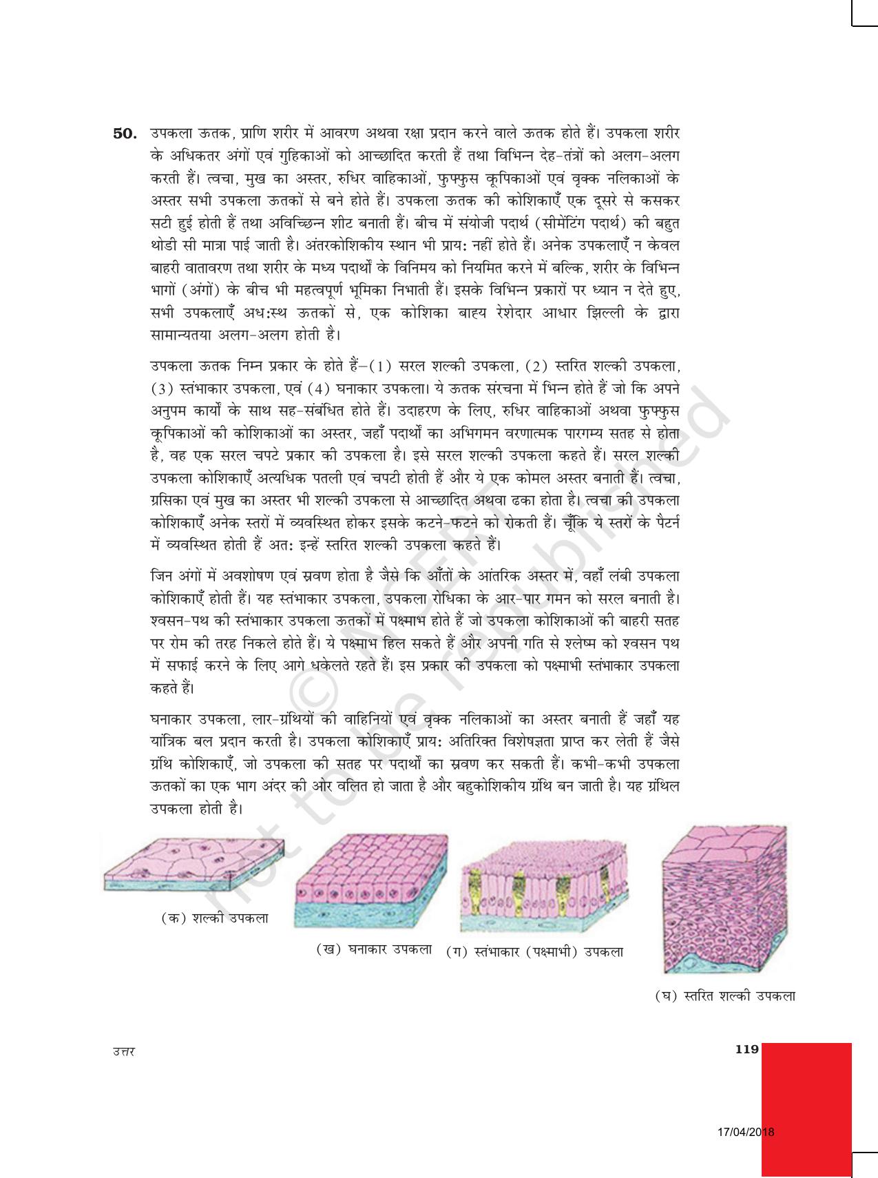 NCERT Exemplar Class 9: विज्ञान उत्तरमाला - Page 29